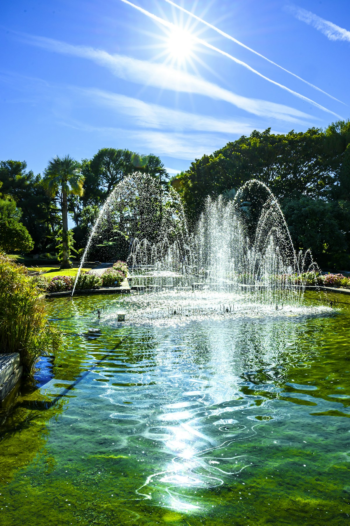 Chafariz jorrando água em um lago verde e viçoso sob a luz do sol, evocando o jardim bem regado e a fonte que nunca para de correr prometidos em Isaías 58