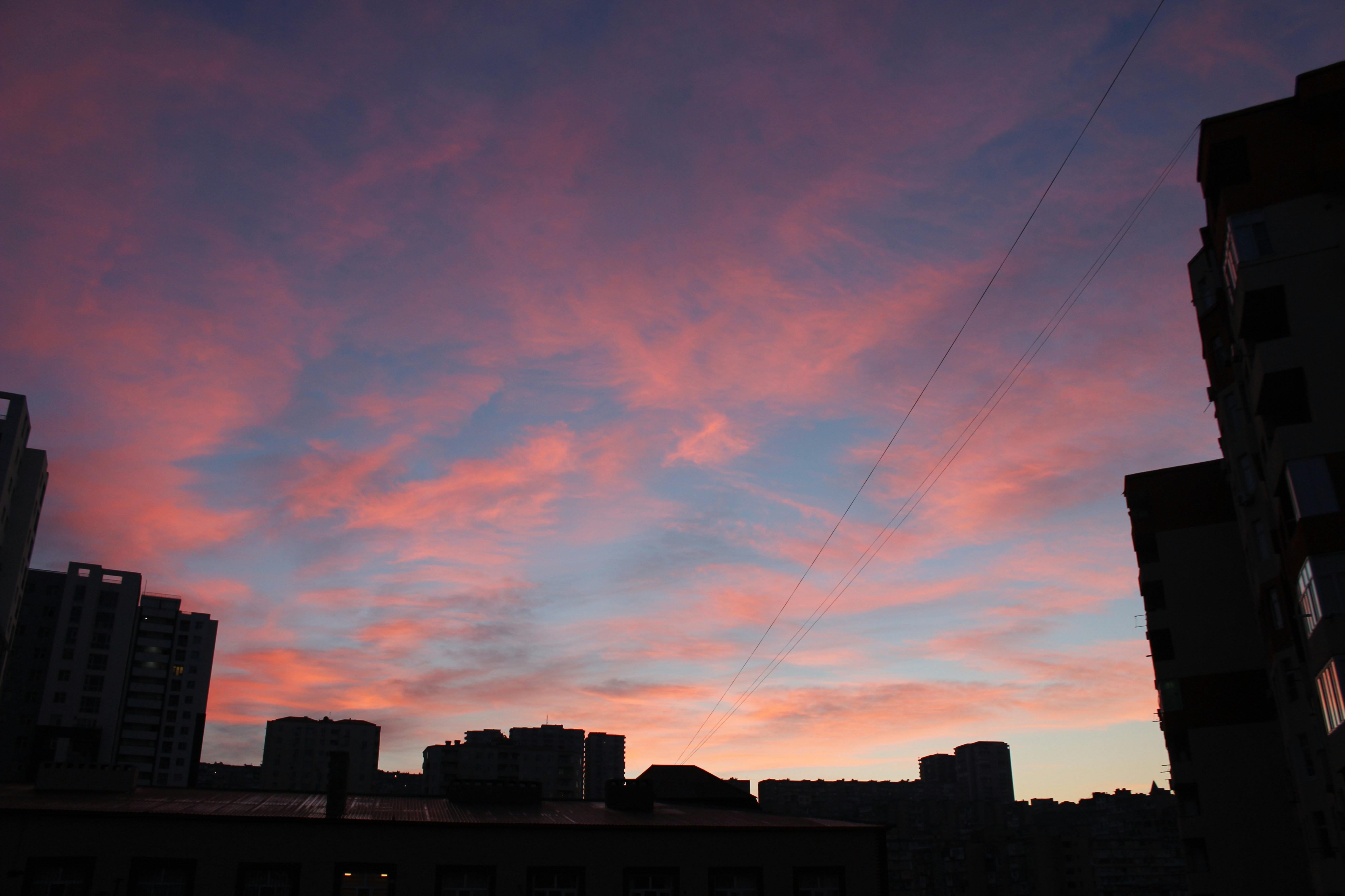 Photo by mehseticelilli