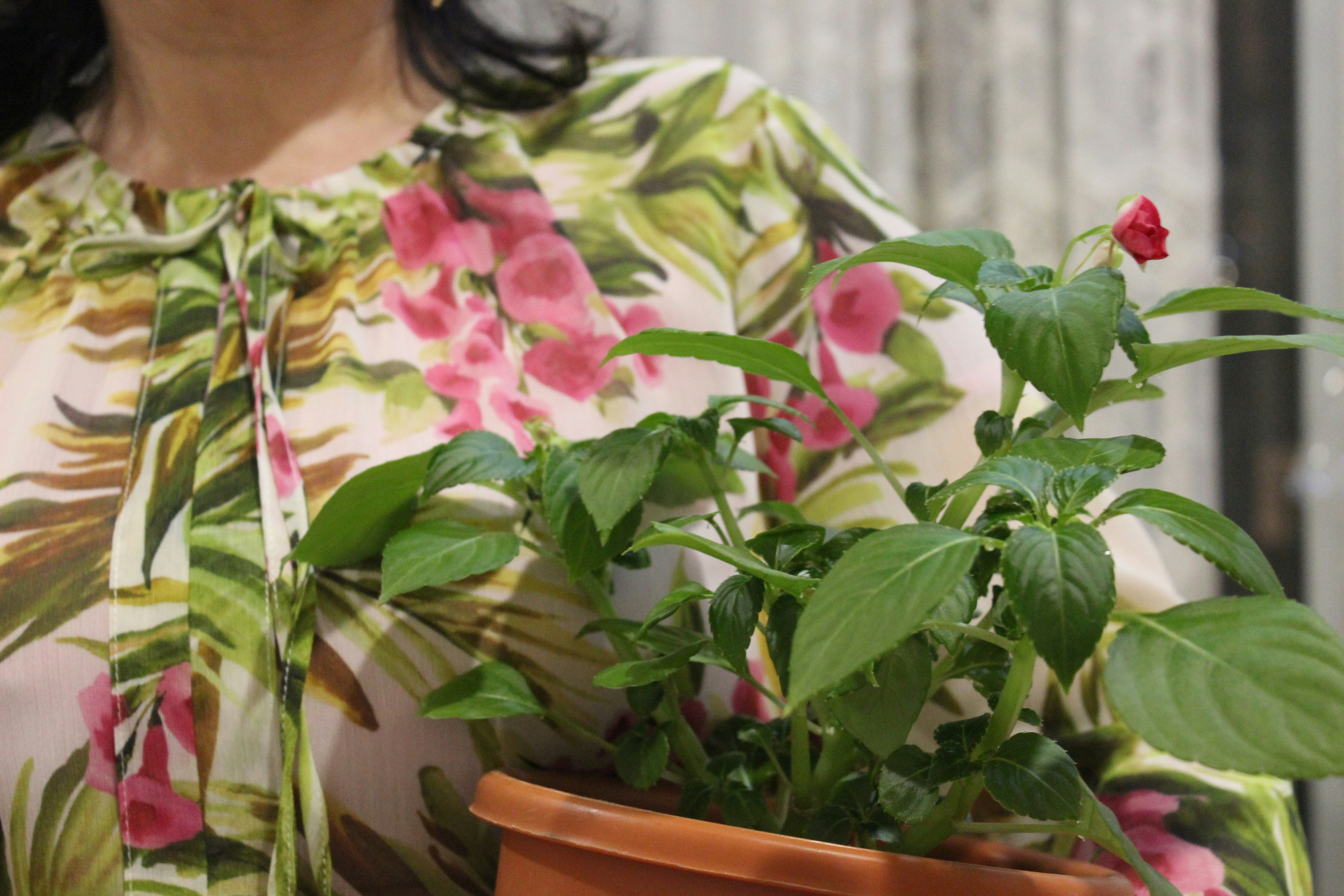 Woman holding a potted plant with pink flowers.