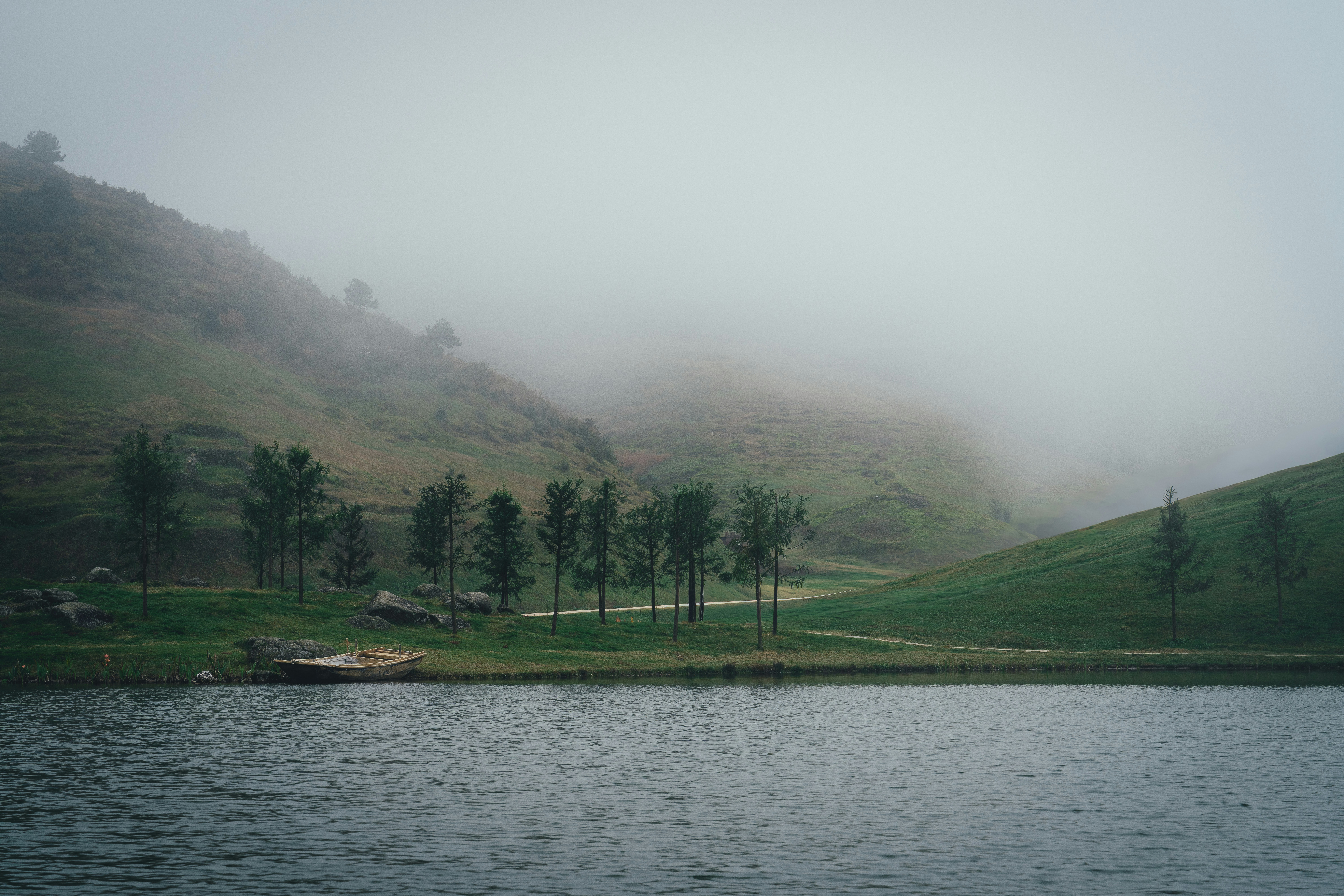 Misty hills with trees reflected in a lake