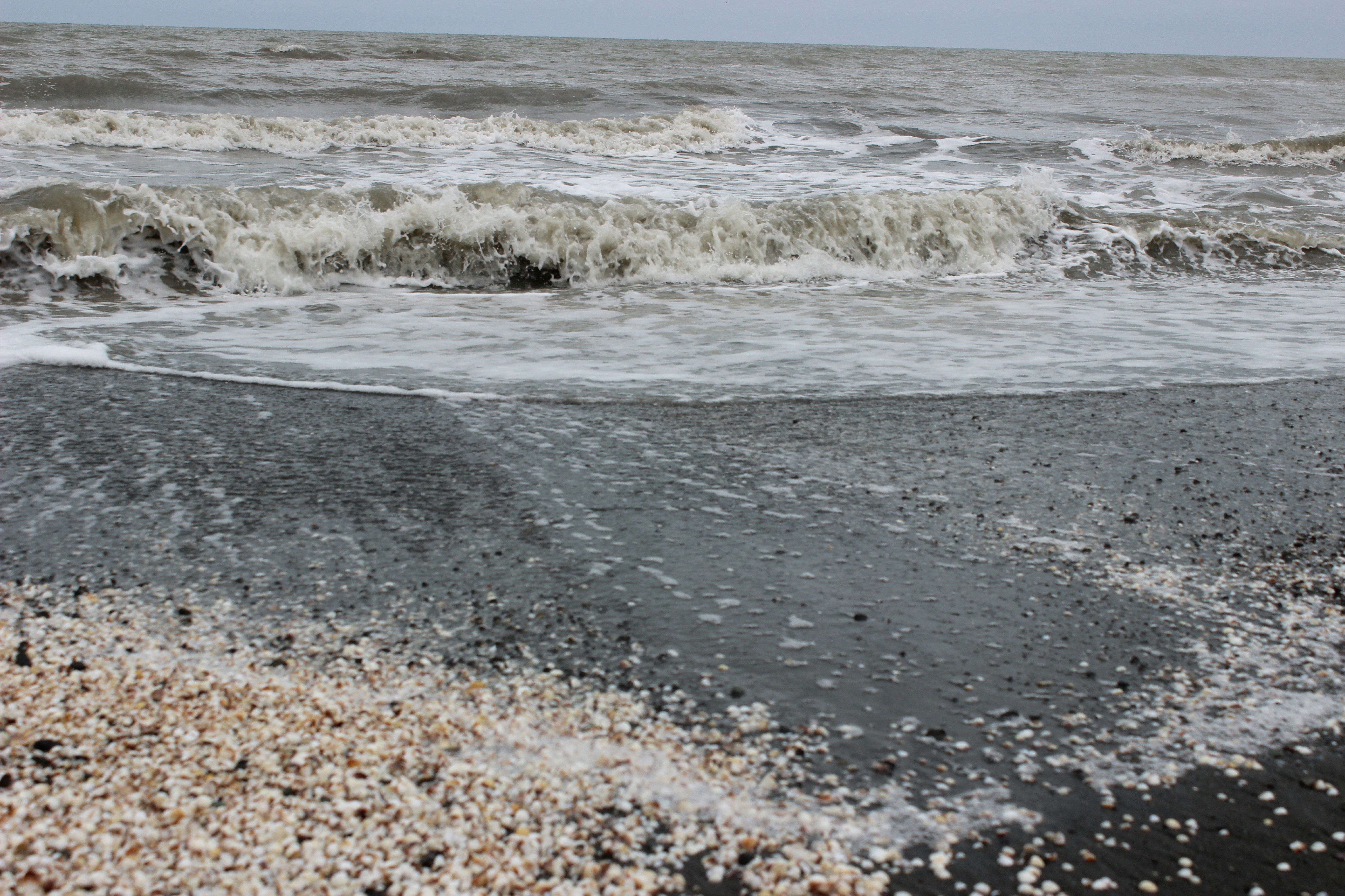 Waves crash on a dark sandy beach with shells.