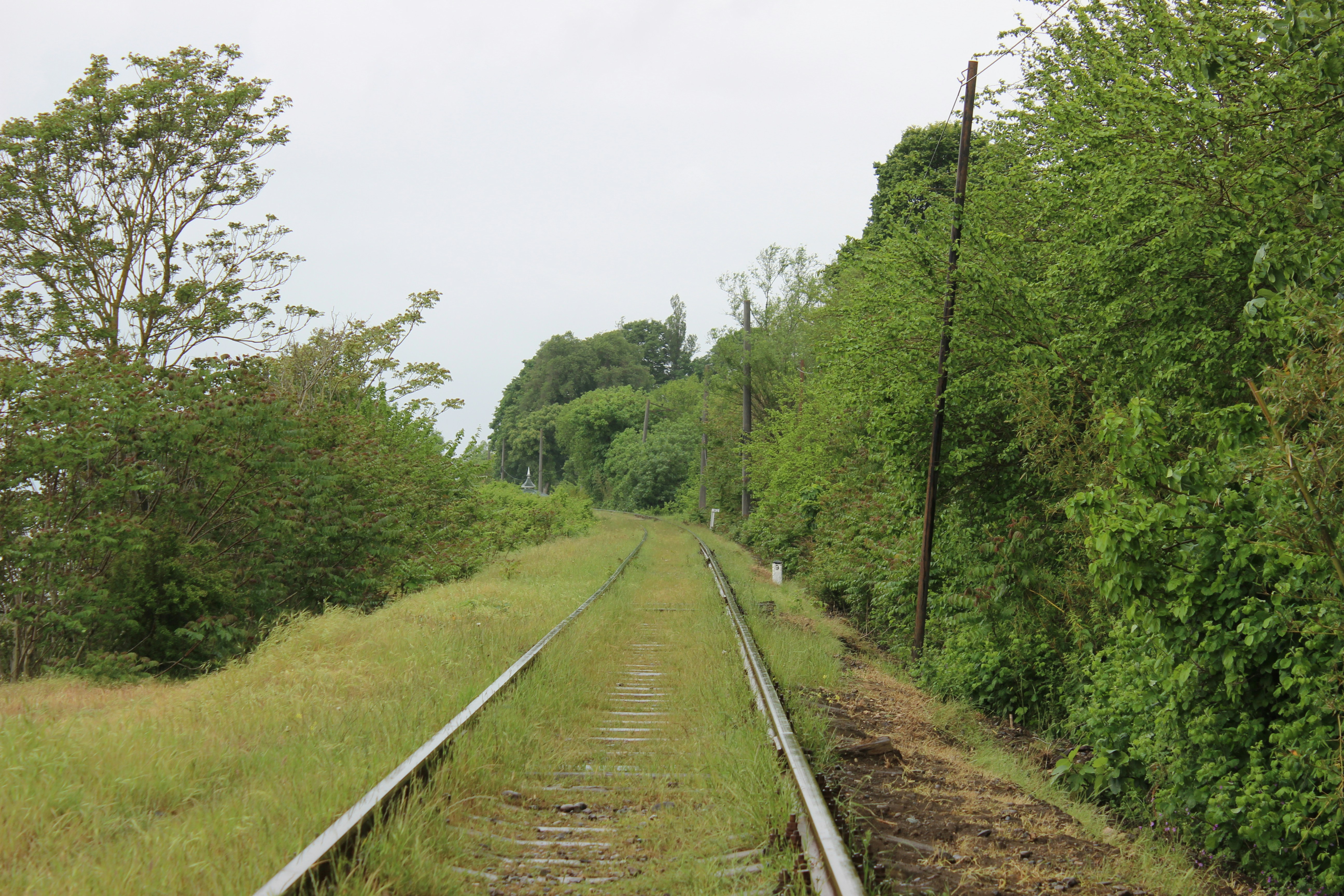 Photo by mehseticelilli