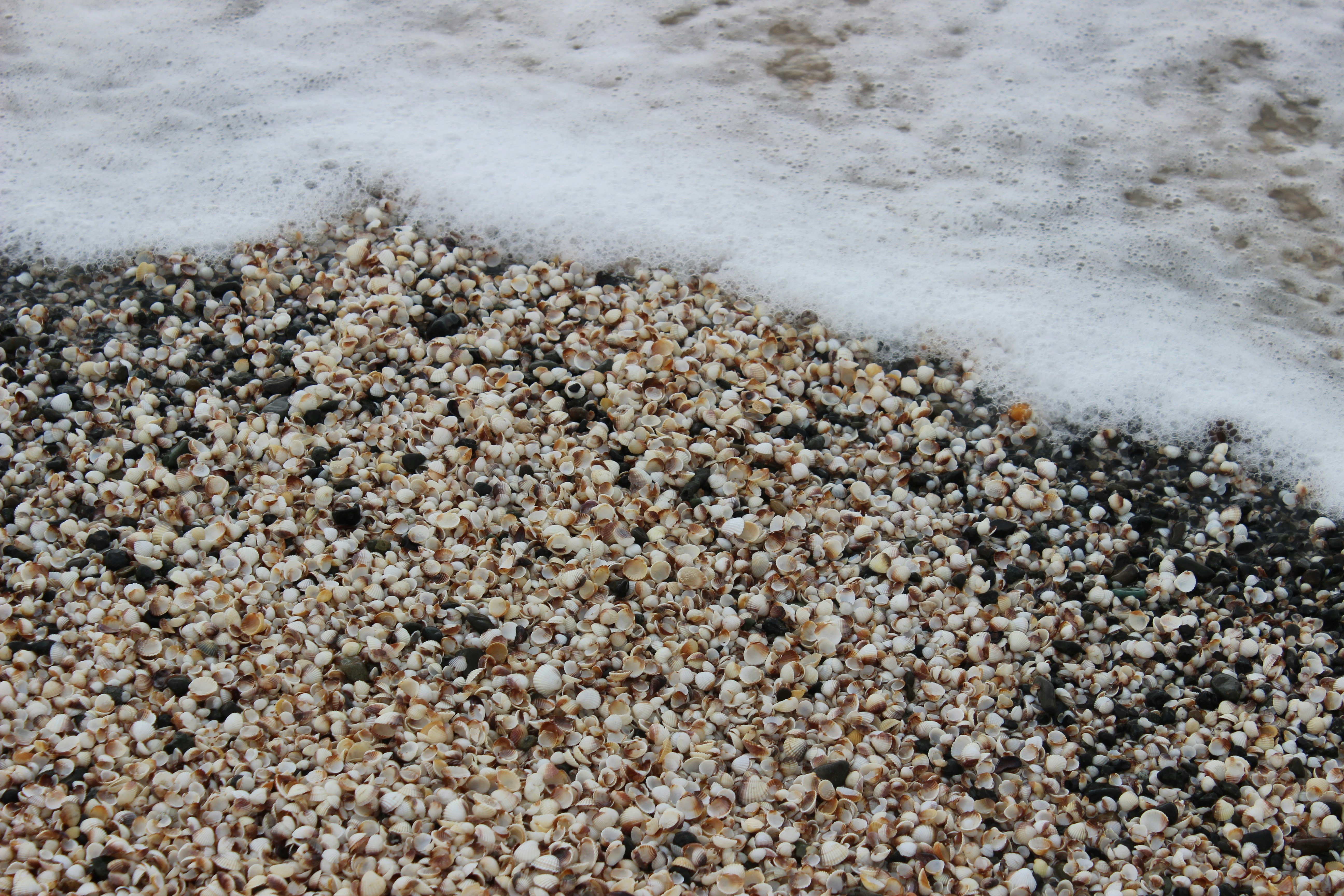 Photo by mehseticelilli