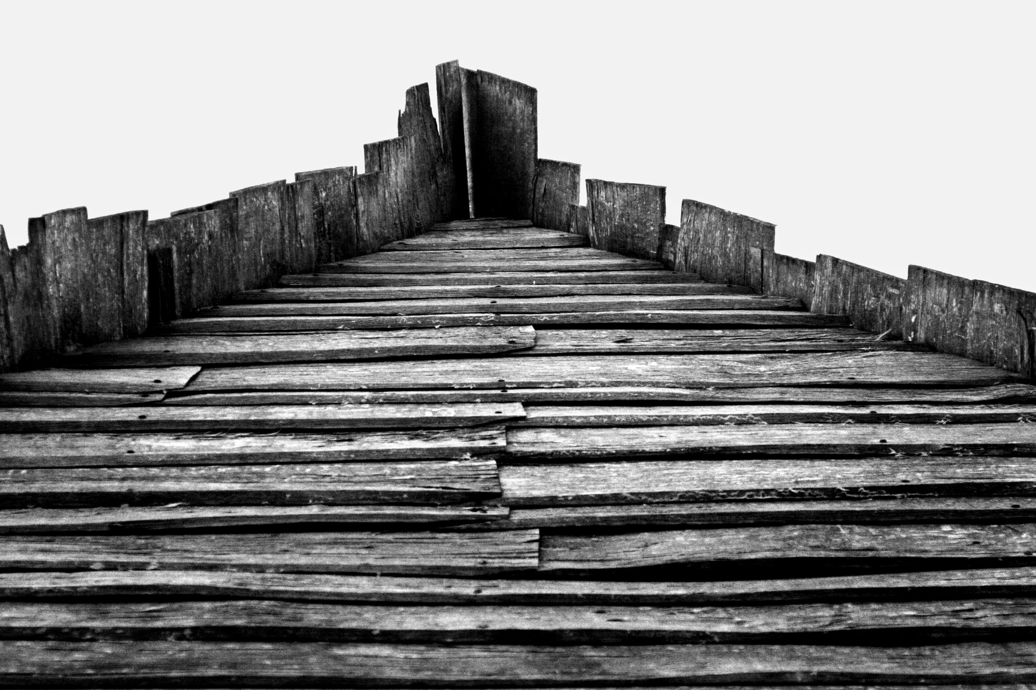 Photo by john_cardamone