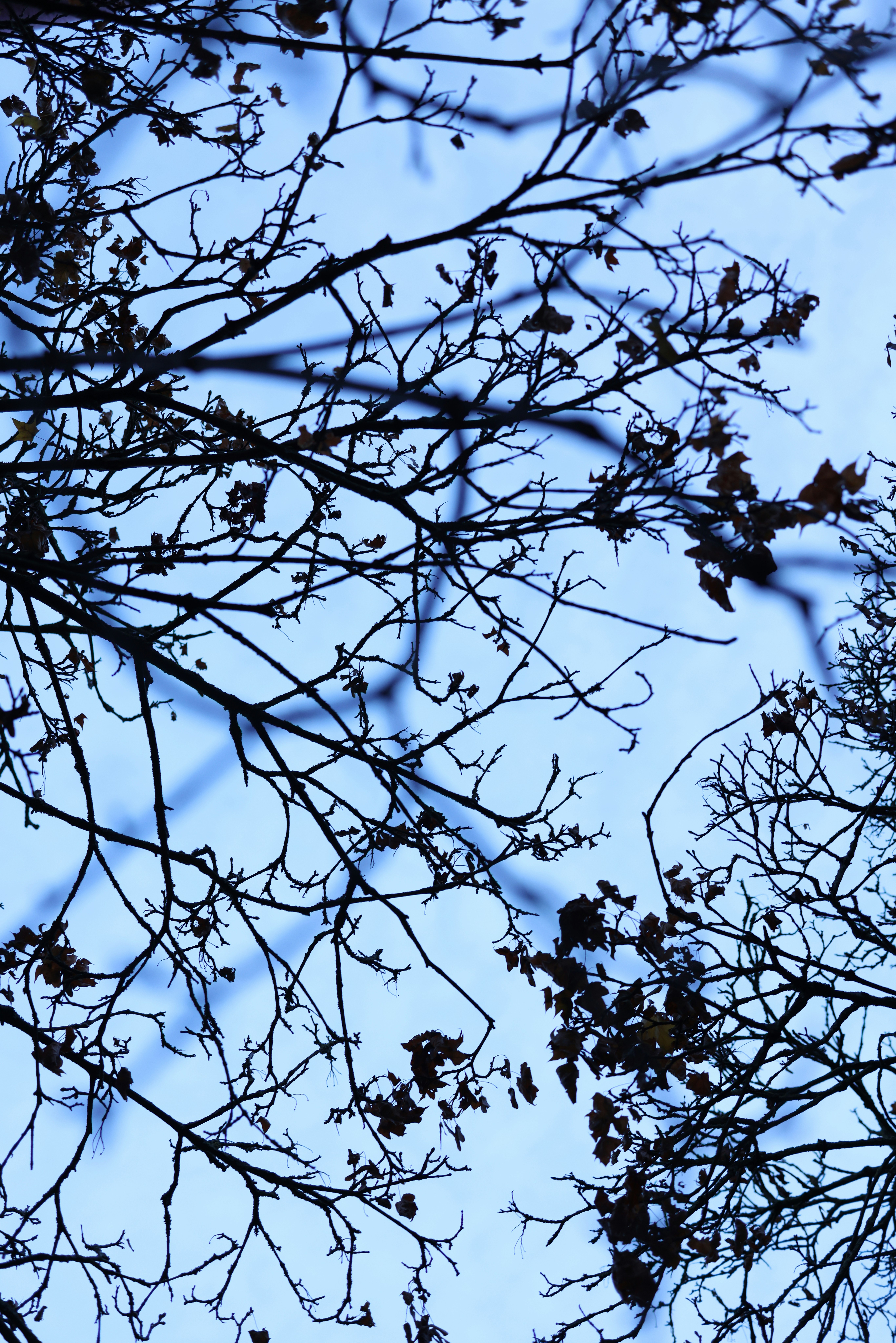 Photo by christinedomme