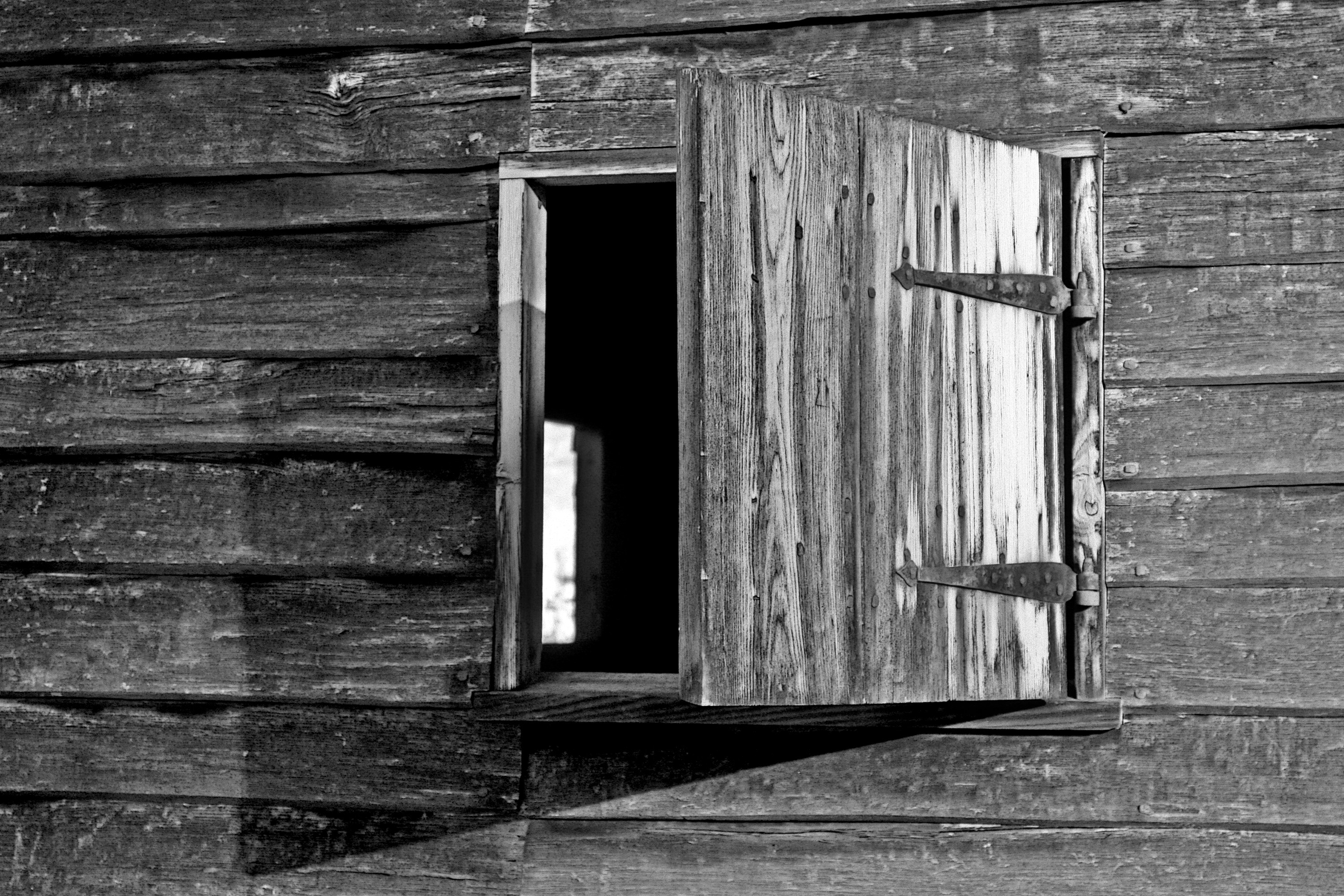 Photo by john_cardamone