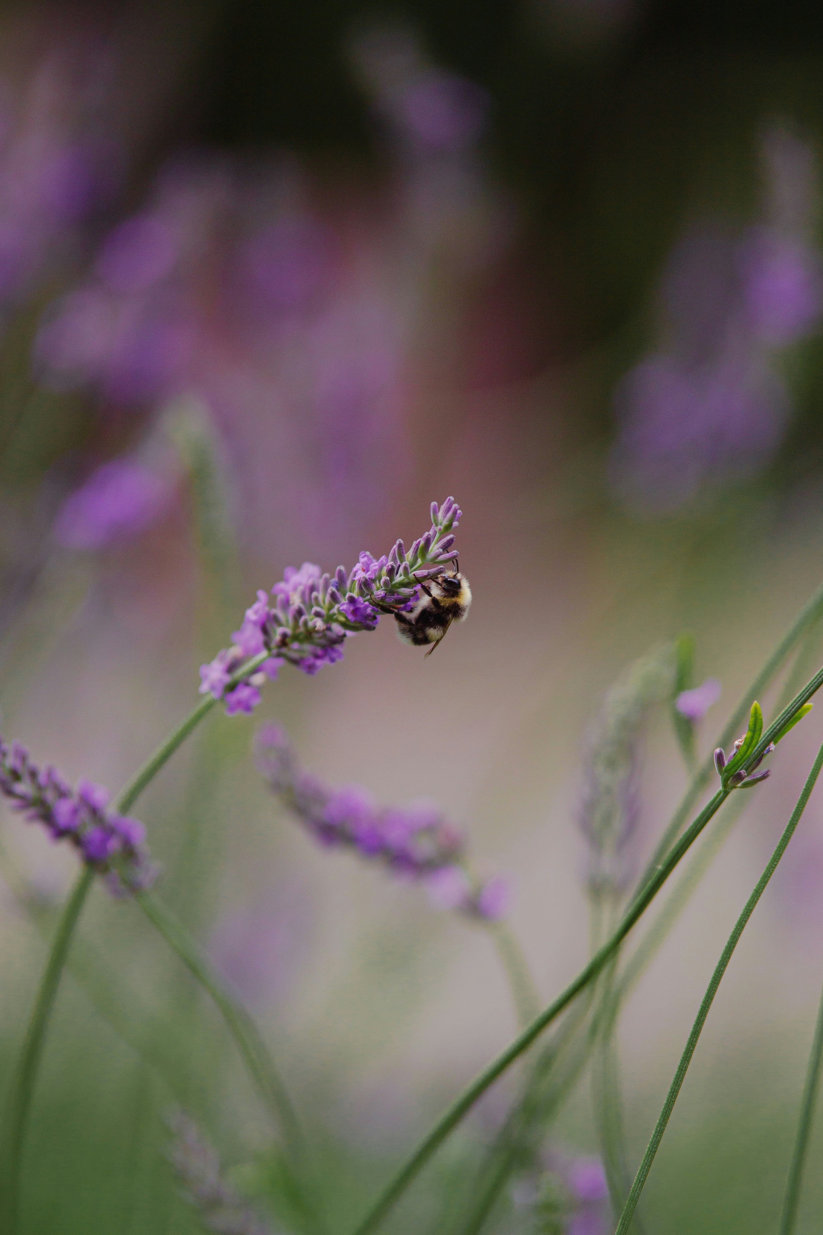 Photo by alexcooper13