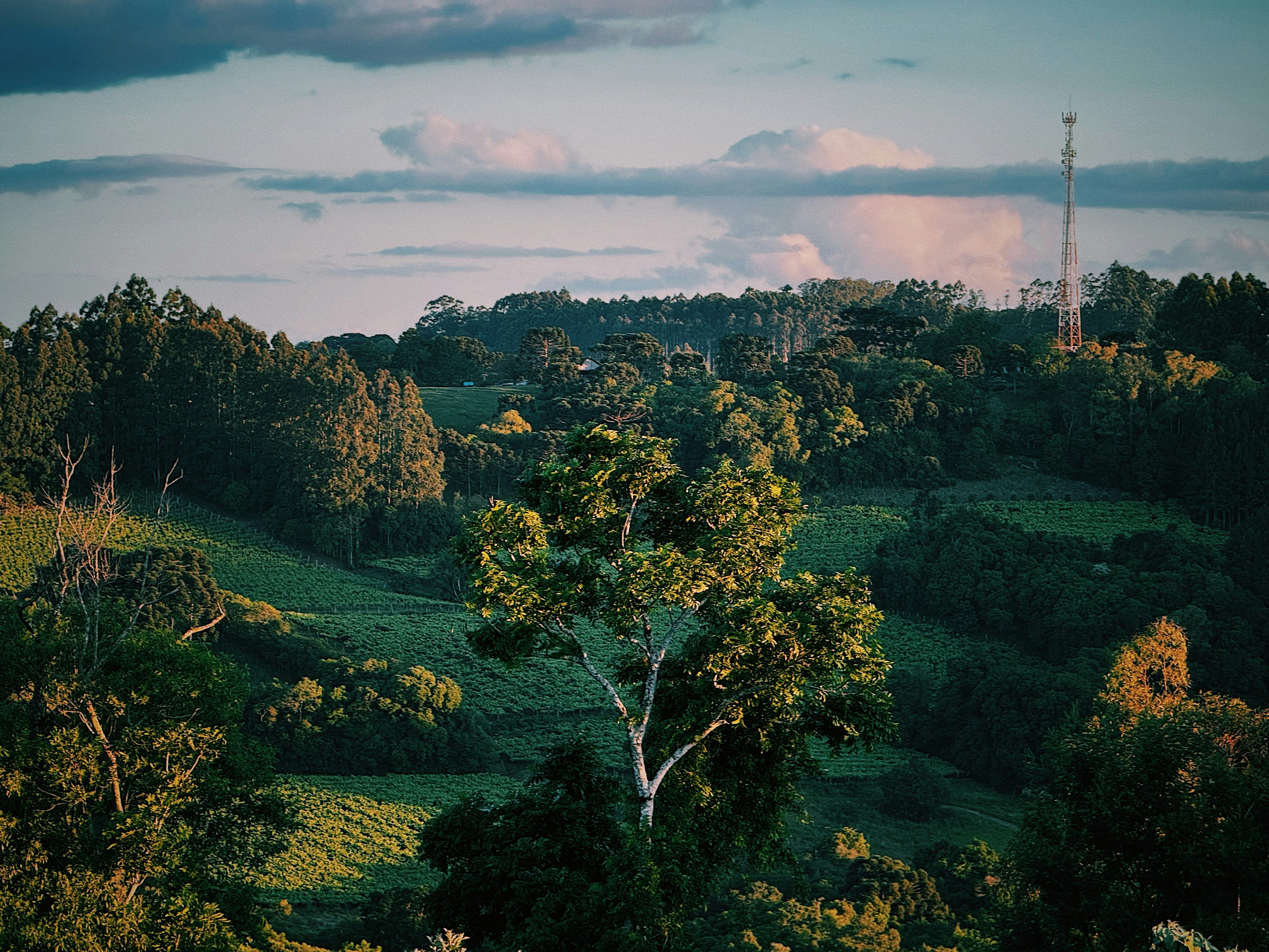 Rolling green hills with trees and a distant tower.