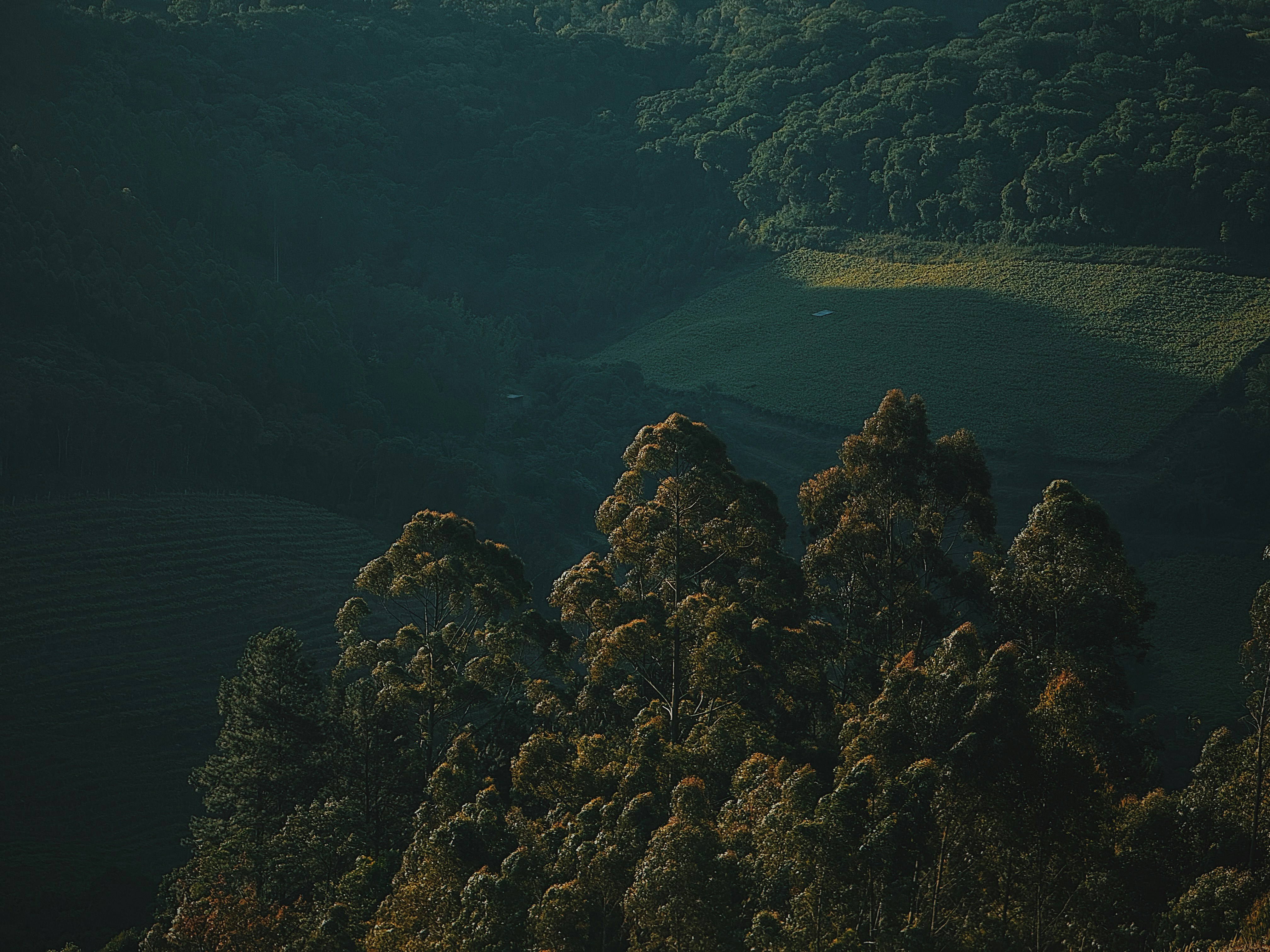 Photo by andreicastanha