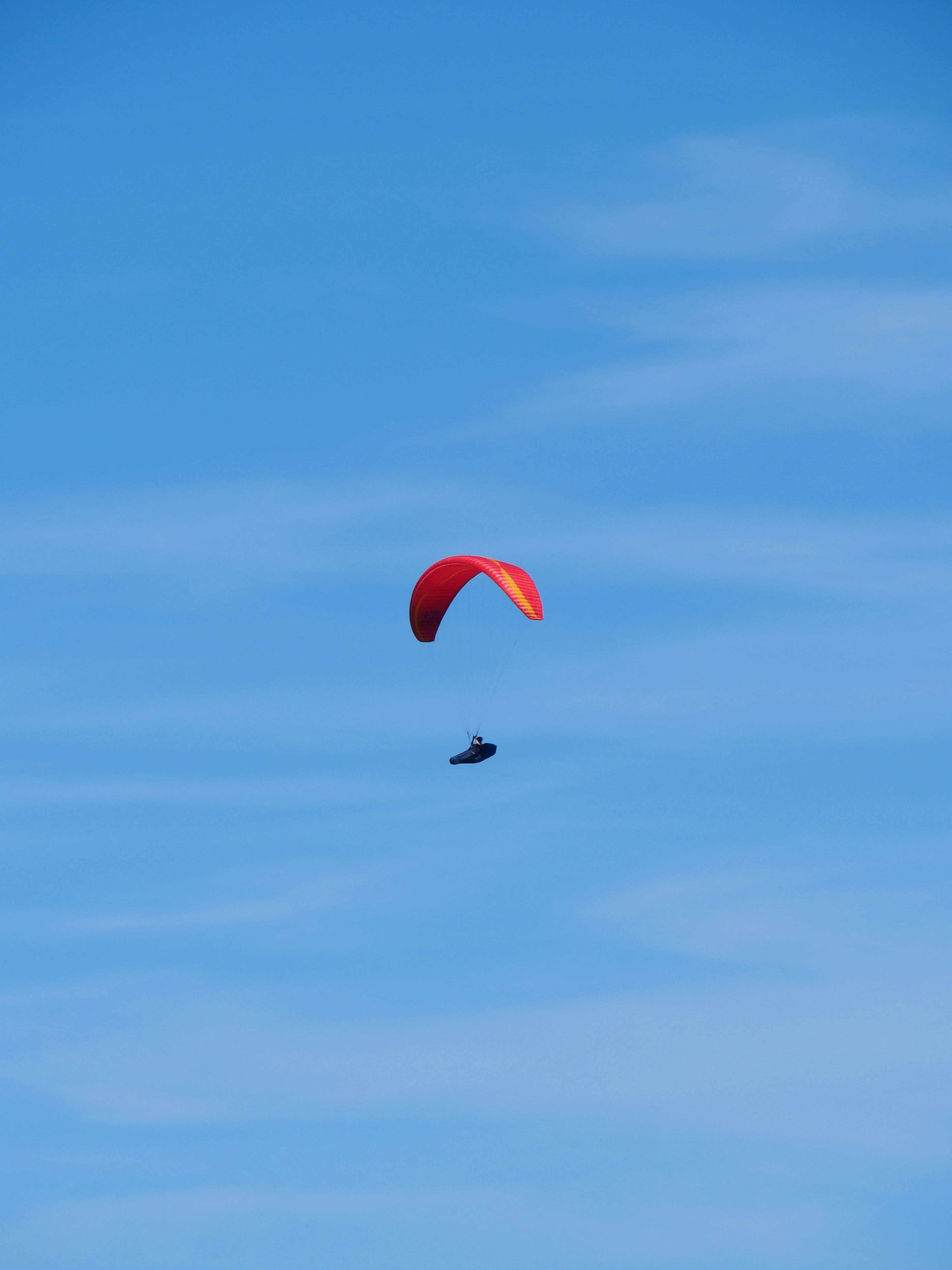 Photo by nimbus_vulpis