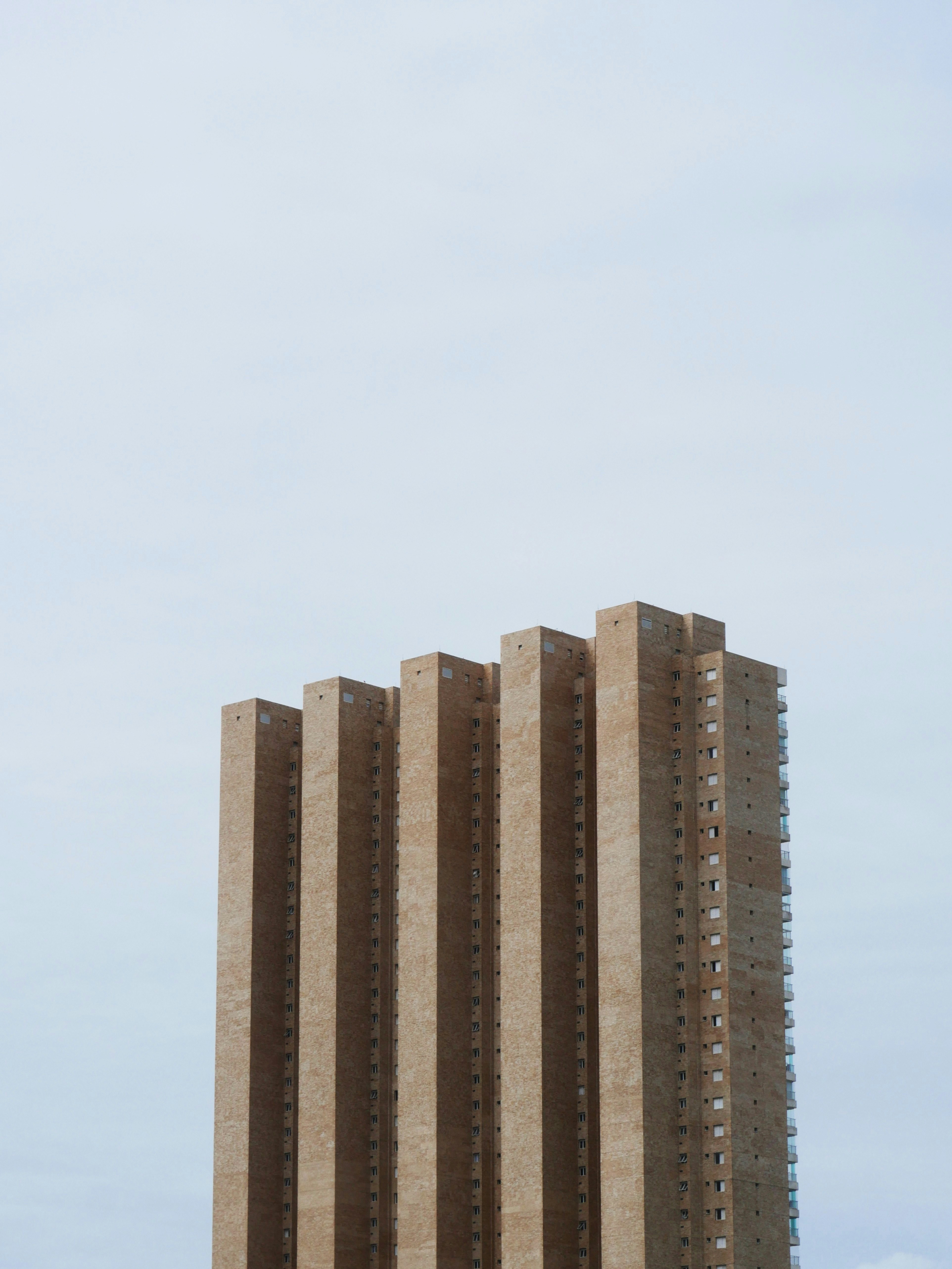 Photo by nimbus_vulpis