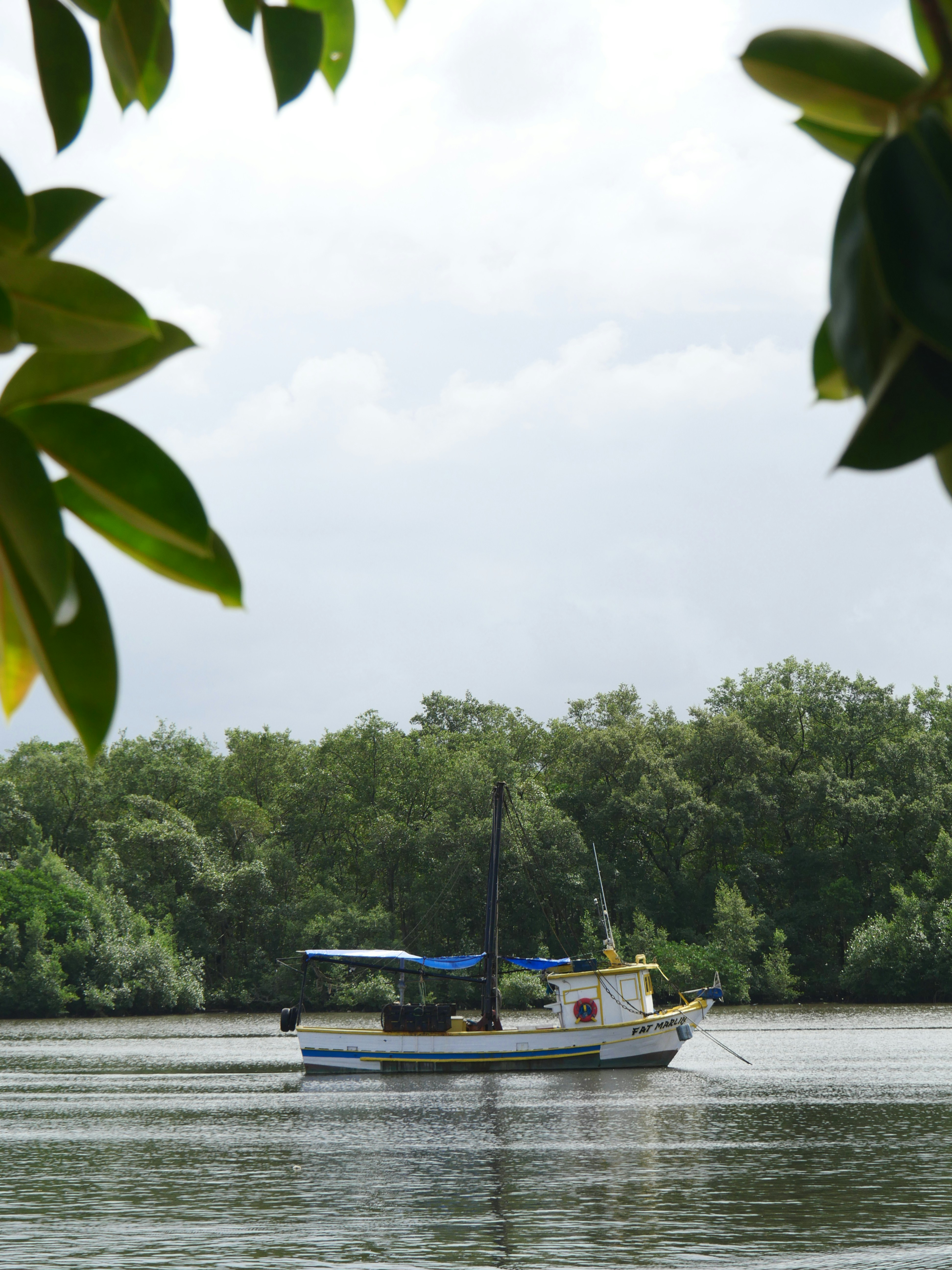 Photo by nimbus_vulpis