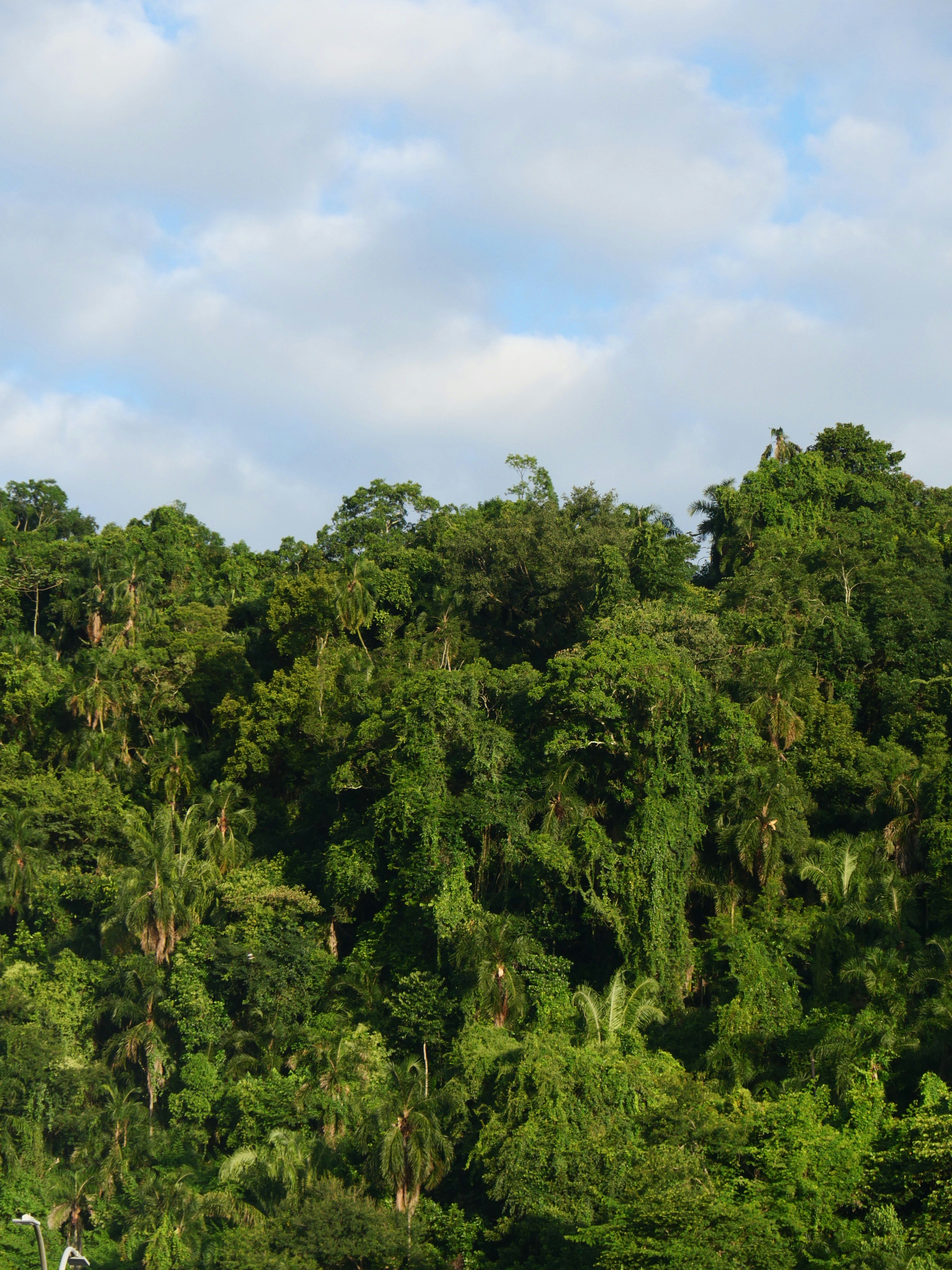 Photo by nimbus_vulpis