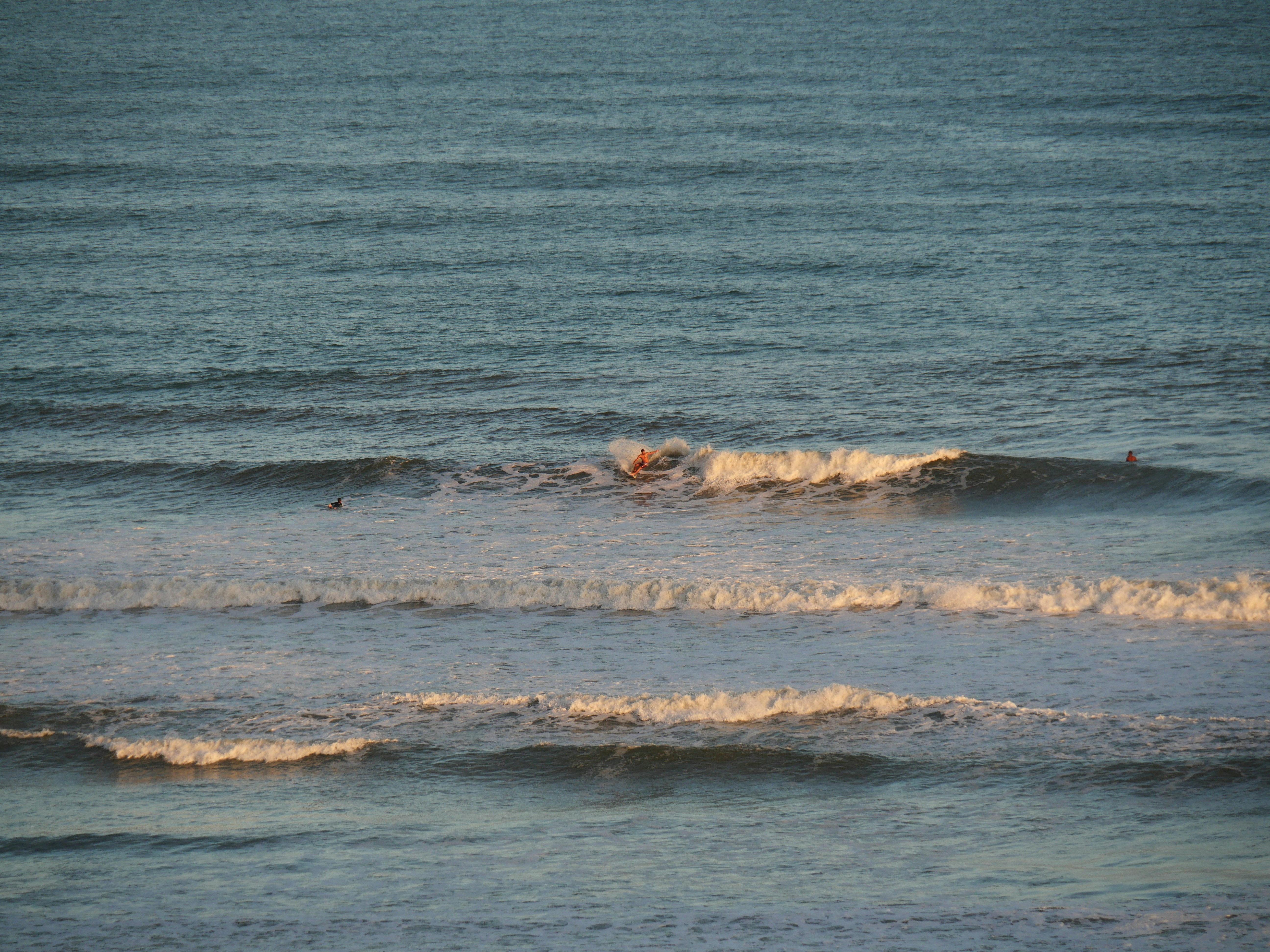 Photo by nimbus_vulpis