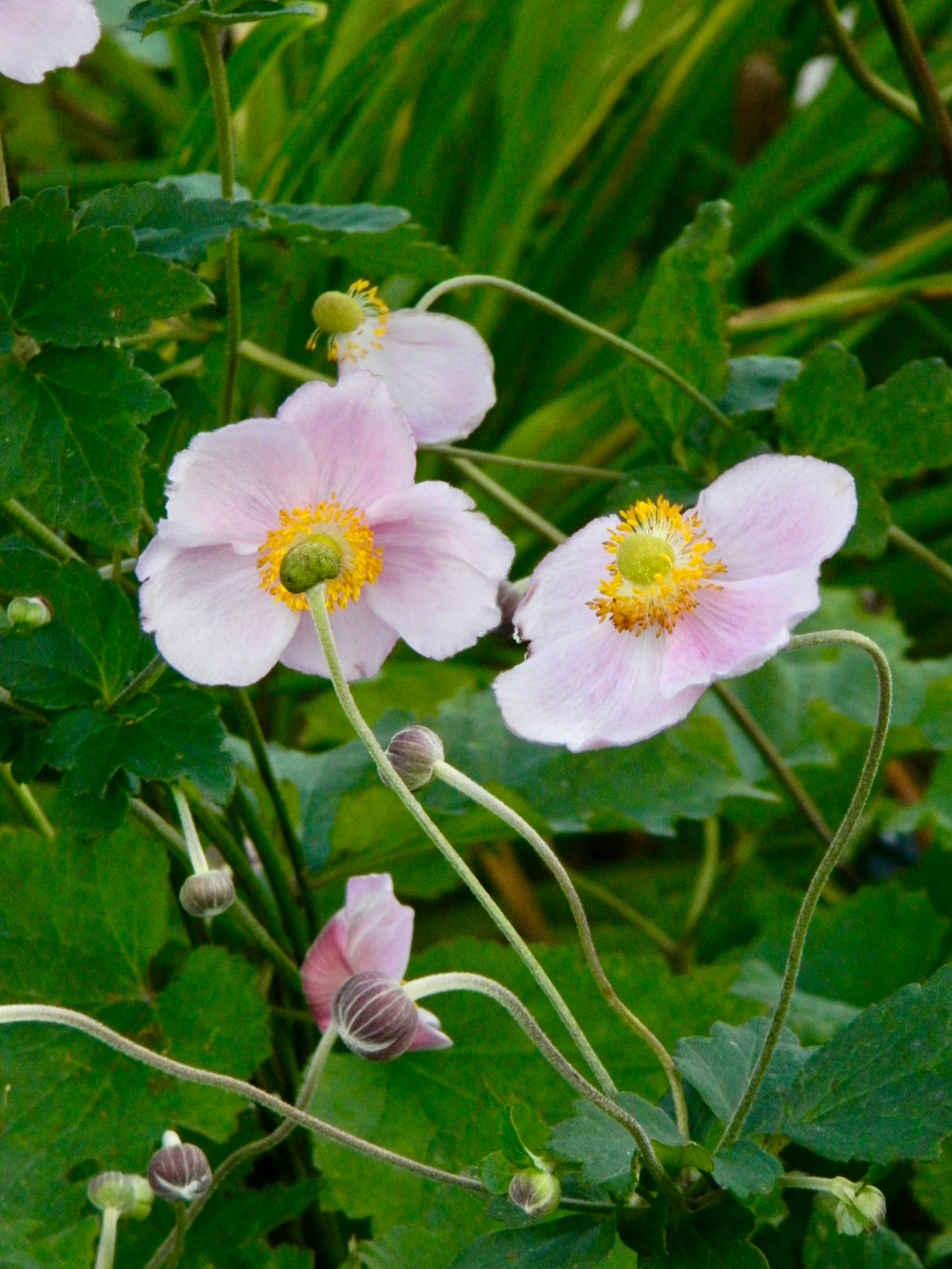 Photo by ezgideliklitas