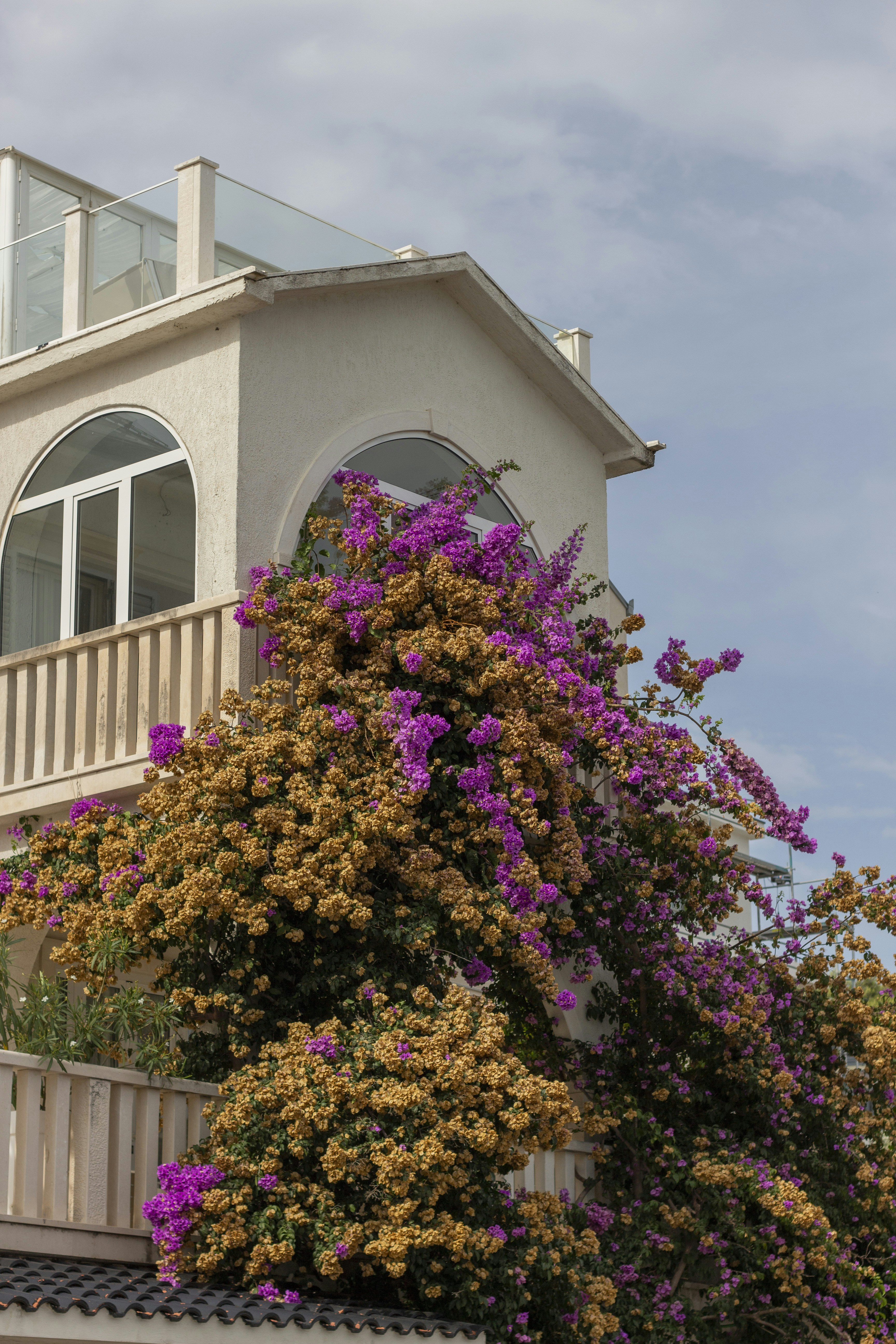 Photo by robin___the___bird