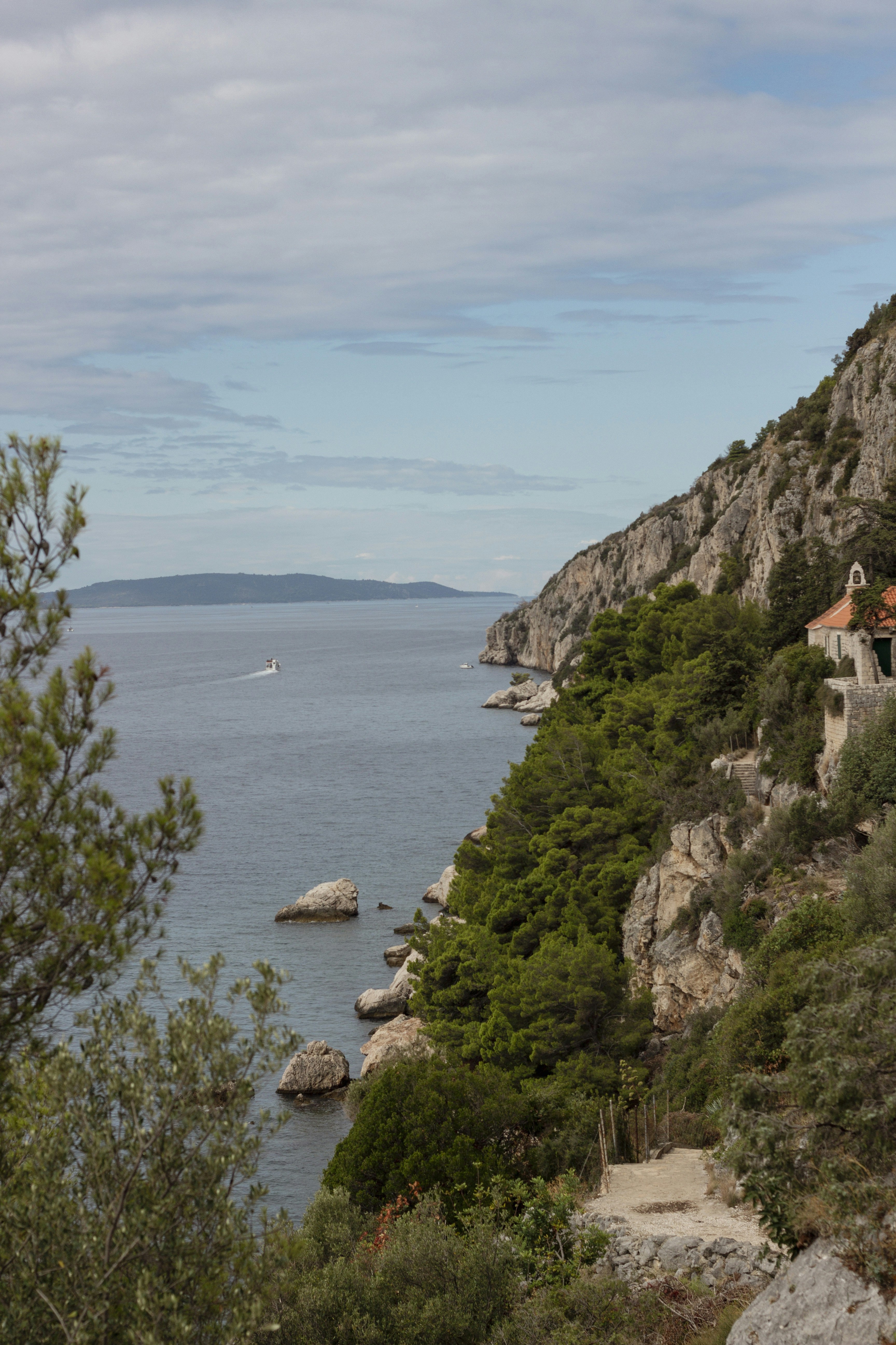 Photo by robin___the___bird