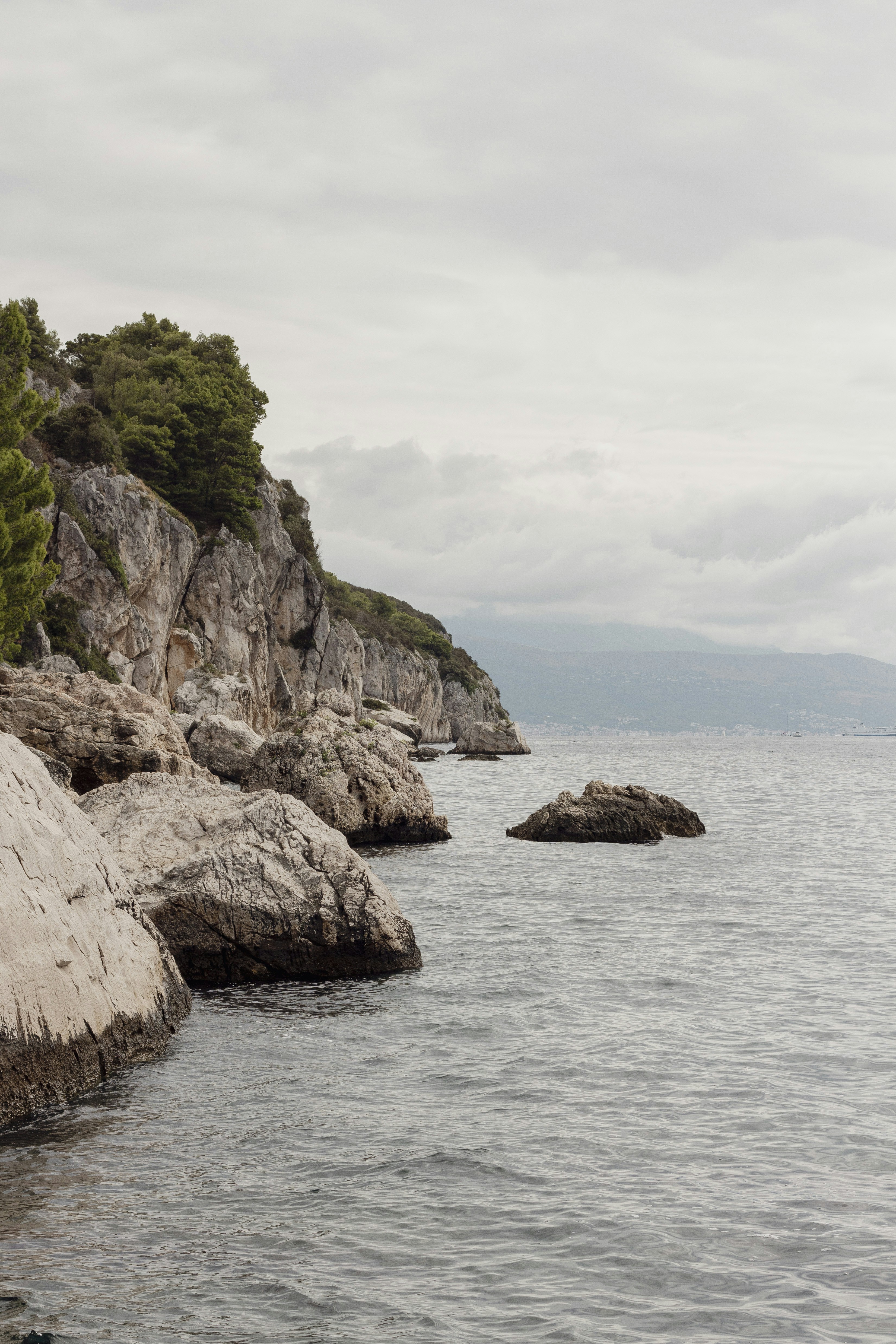 Photo by robin___the___bird