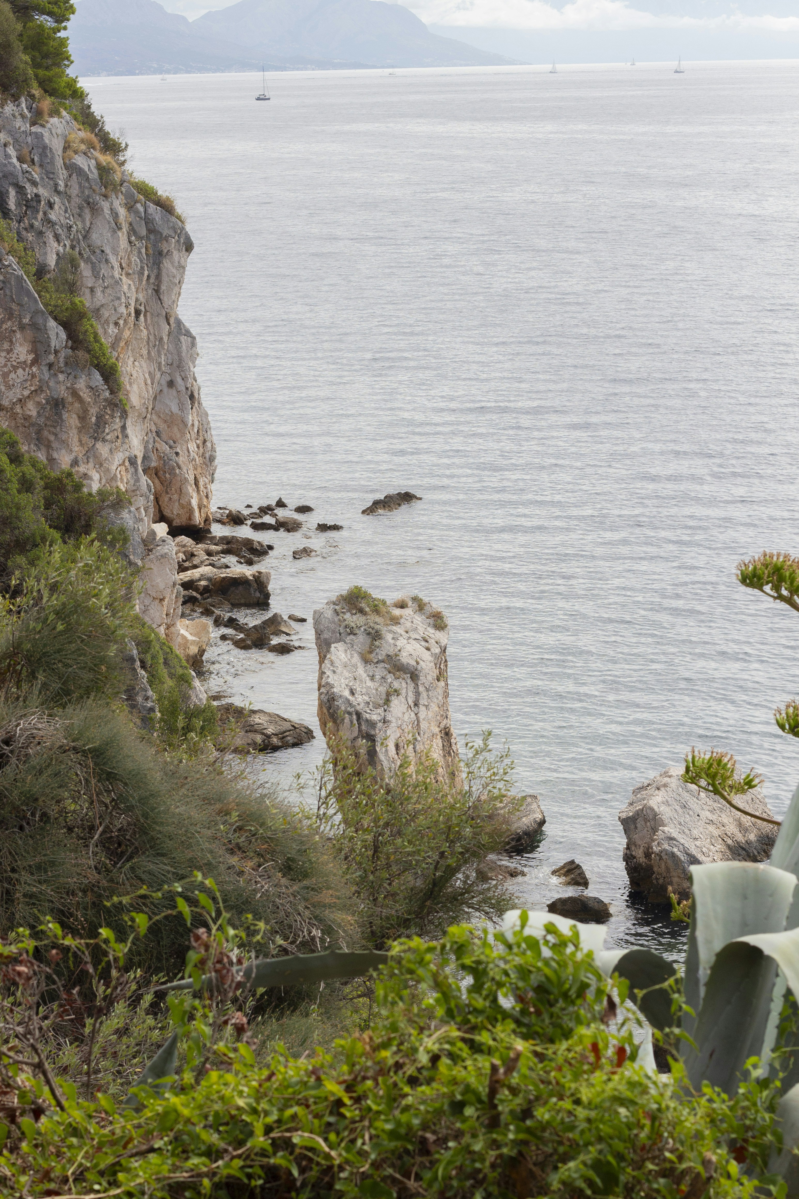 Photo by robin___the___bird