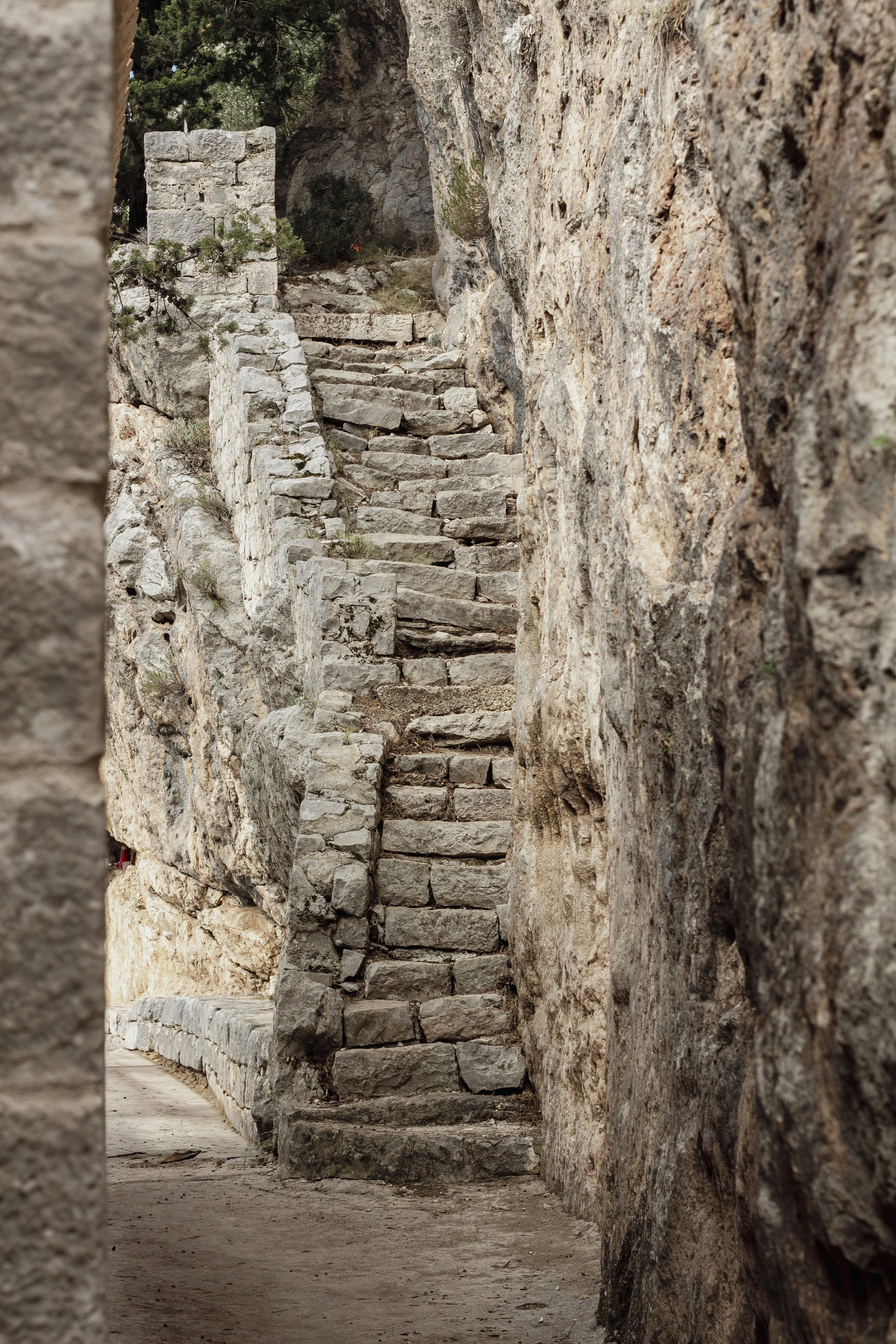 Photo by robin___the___bird