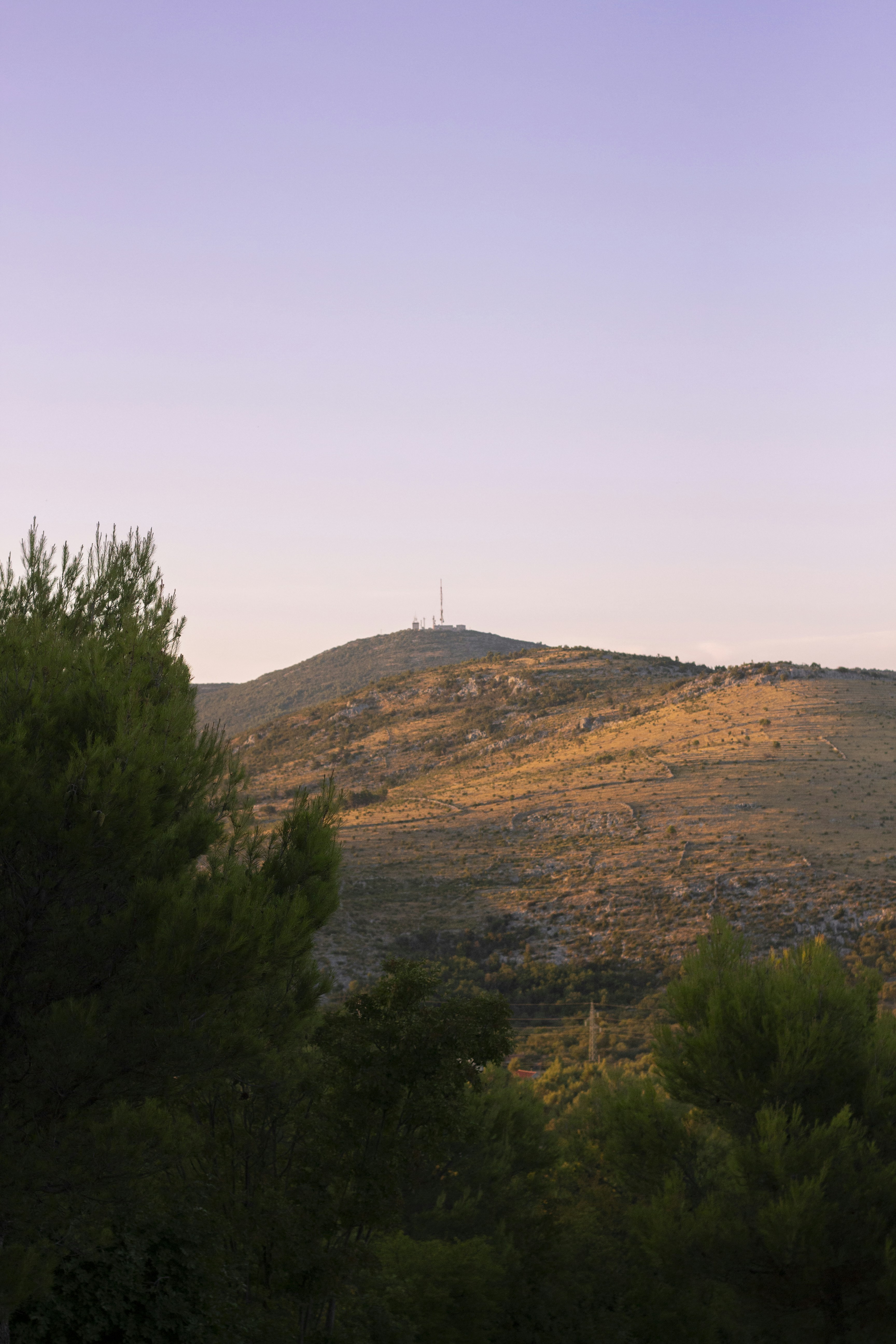 Photo by robin___the___bird