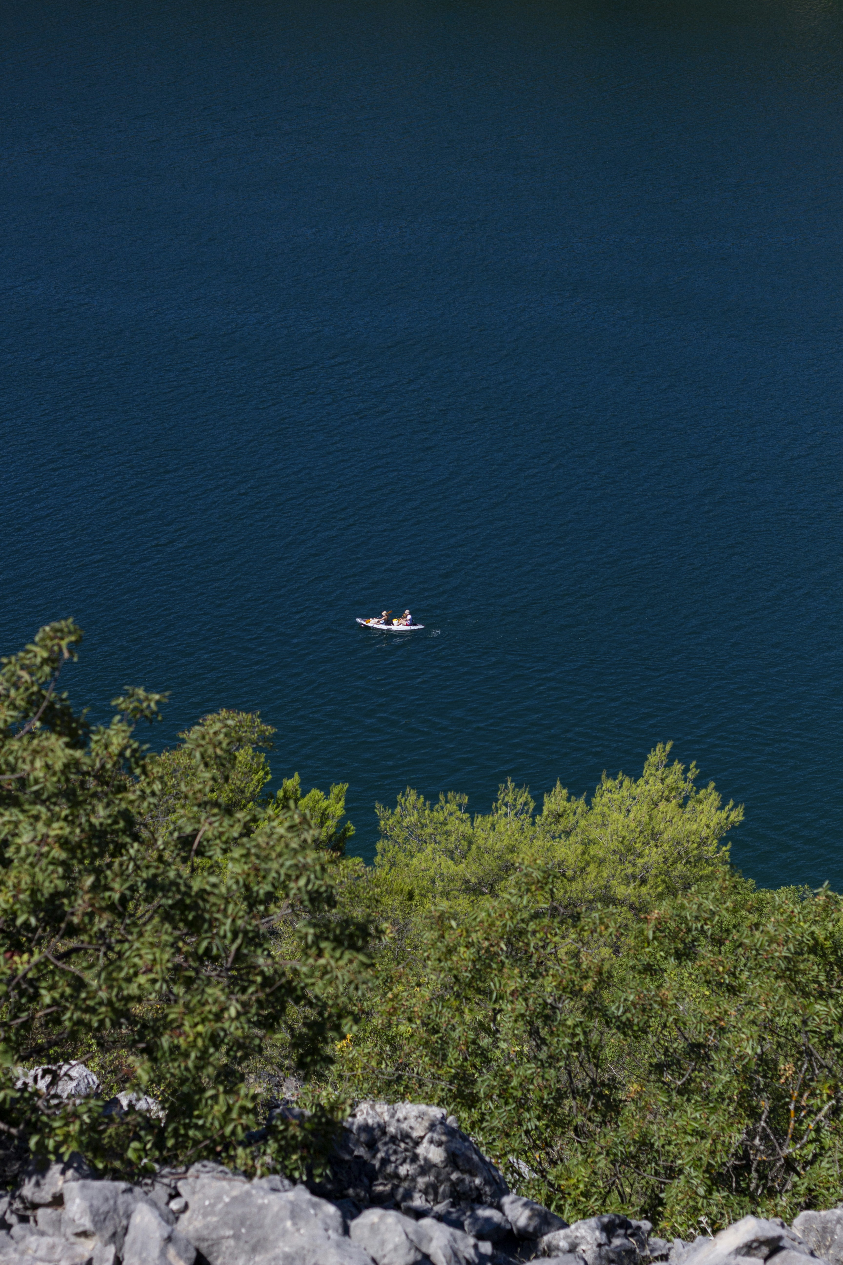 Photo by robin___the___bird