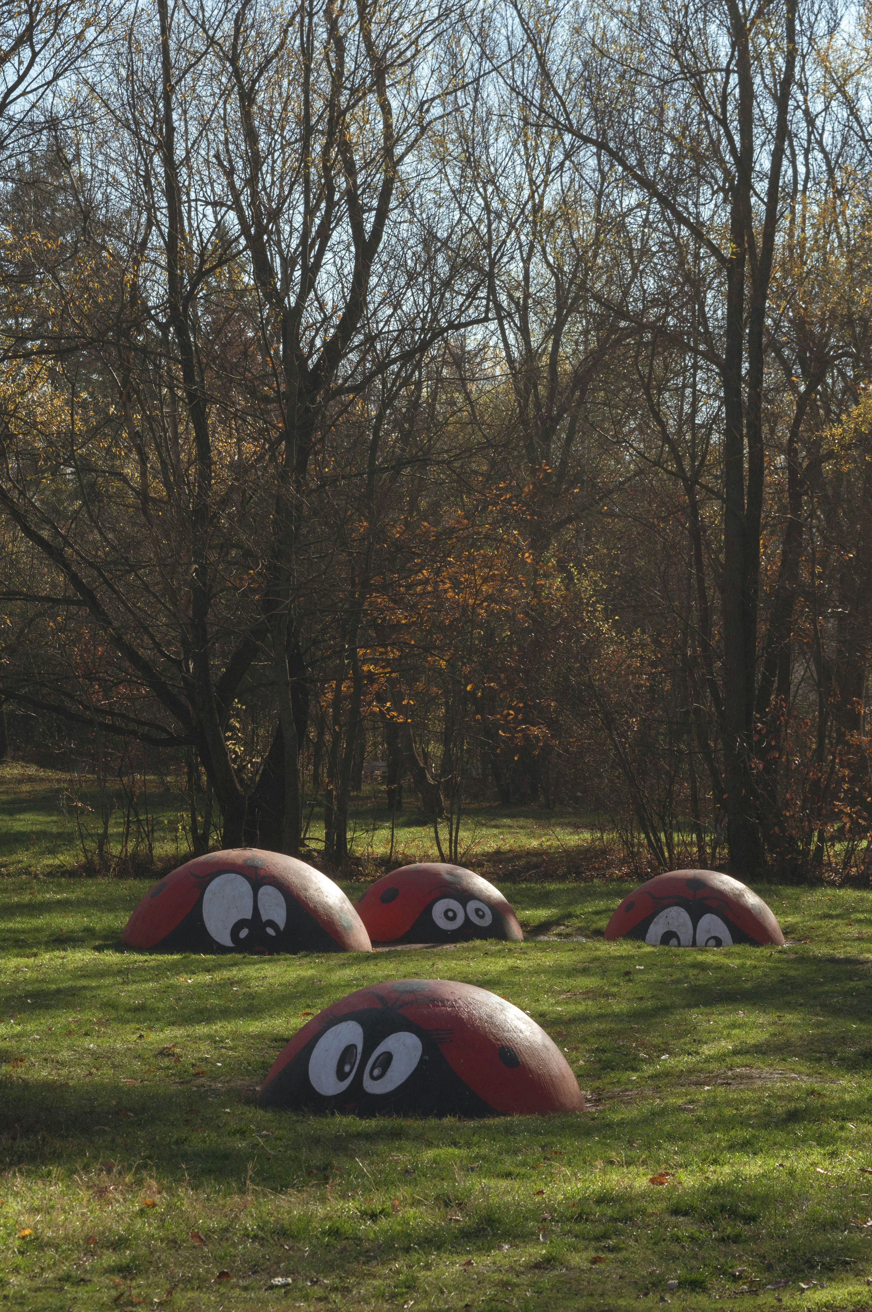 ladybug wallpaper aesthetic, wallpaper, Ladybug Crafts for Adults: Creative Ideas & Projects 4