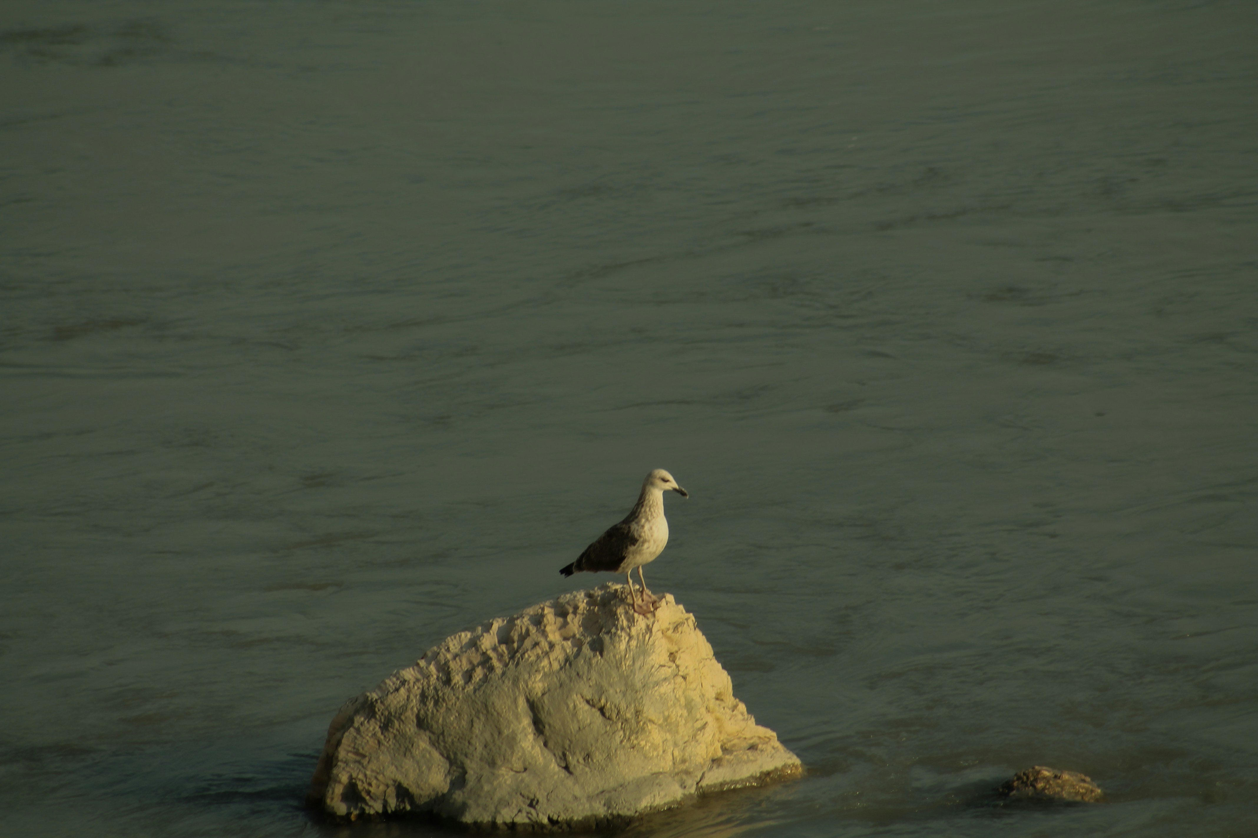 Road views on the way from Tbilisi to Kutaisi