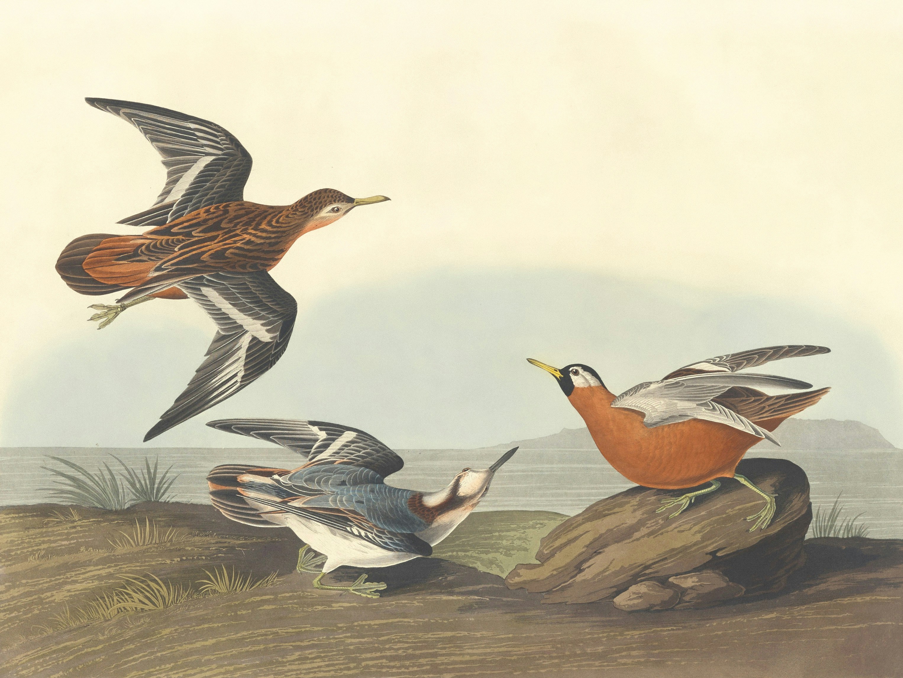 Photo by nationalgallery