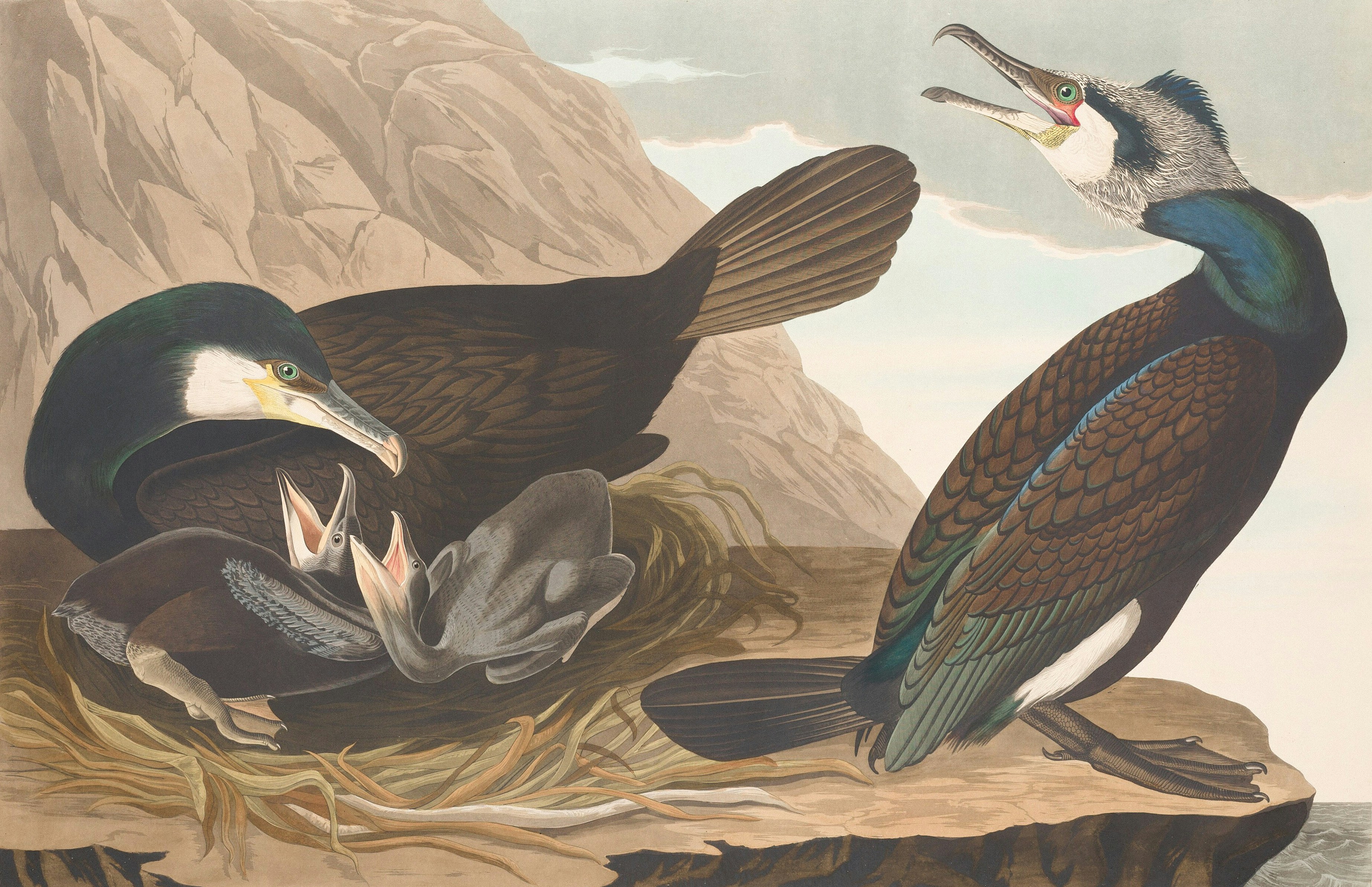 Photo by nationalgallery