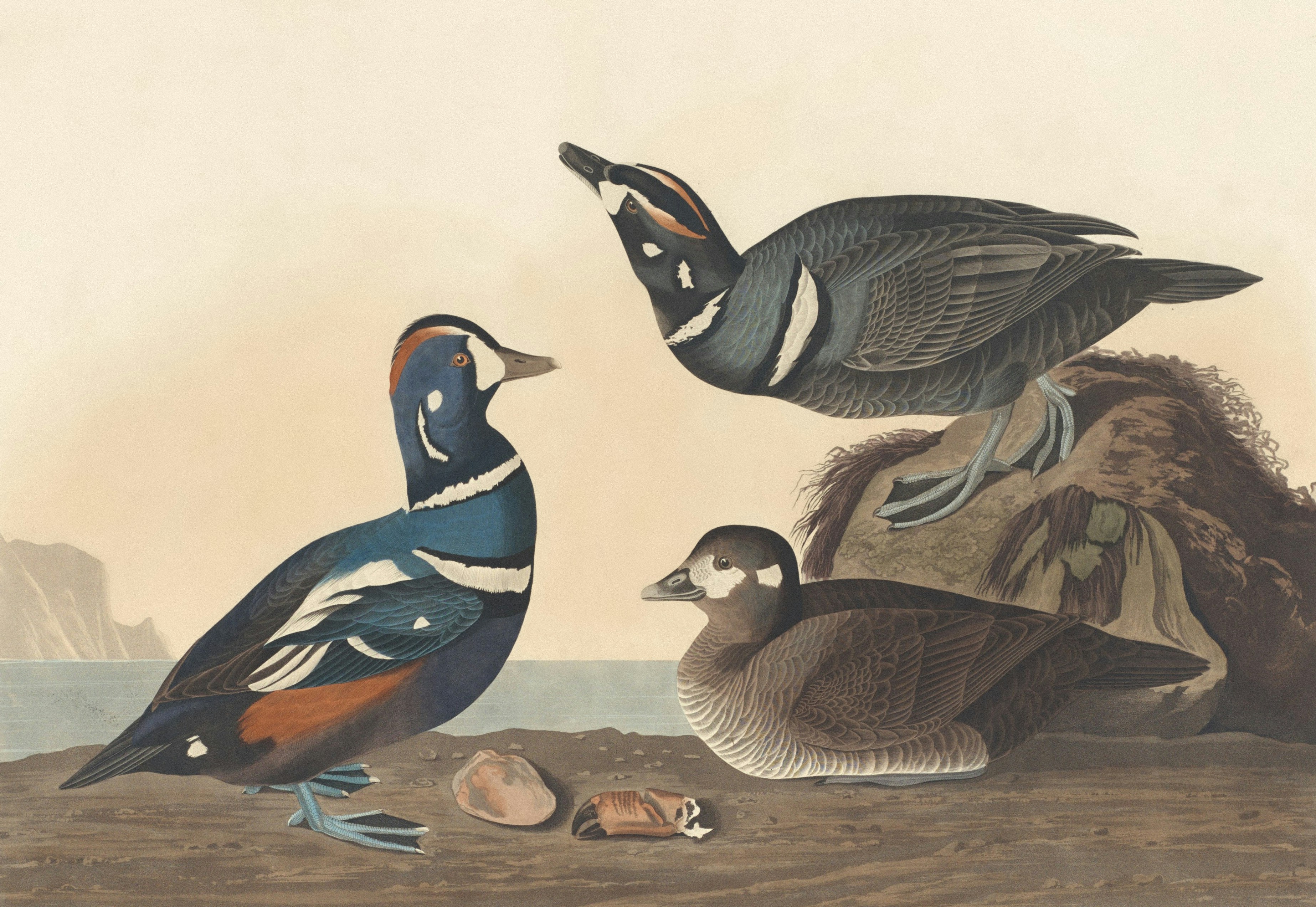 Photo by nationalgallery