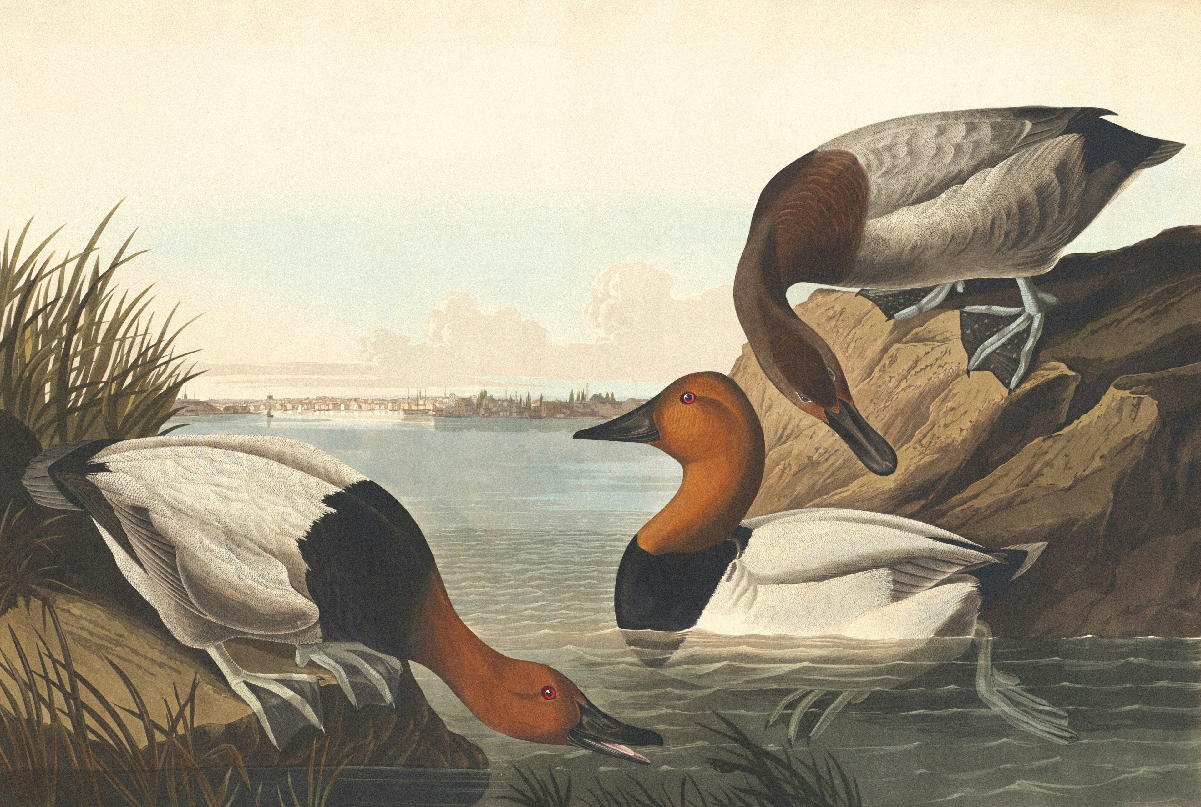 Photo by nationalgallery