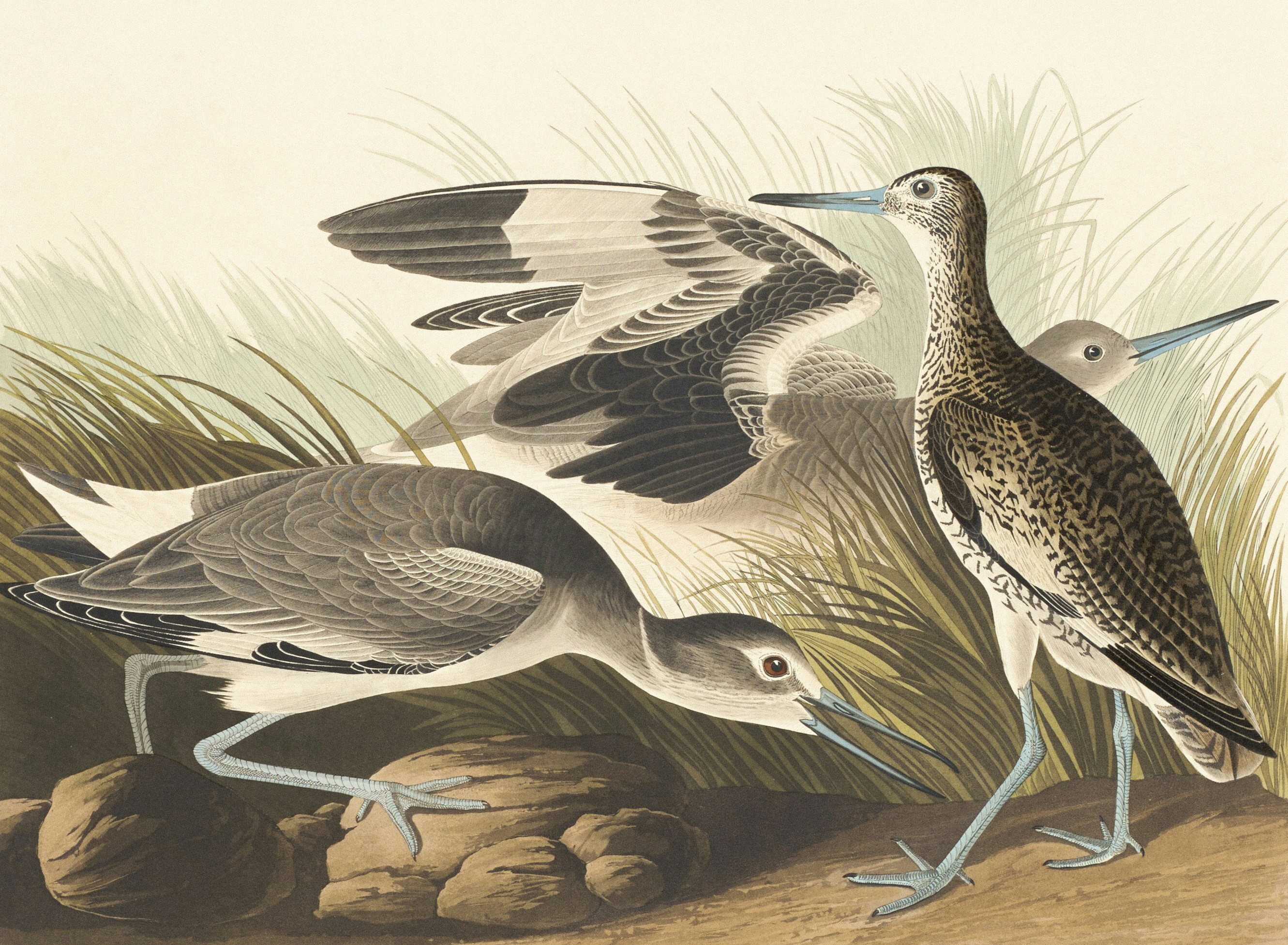 Photo by nationalgallery