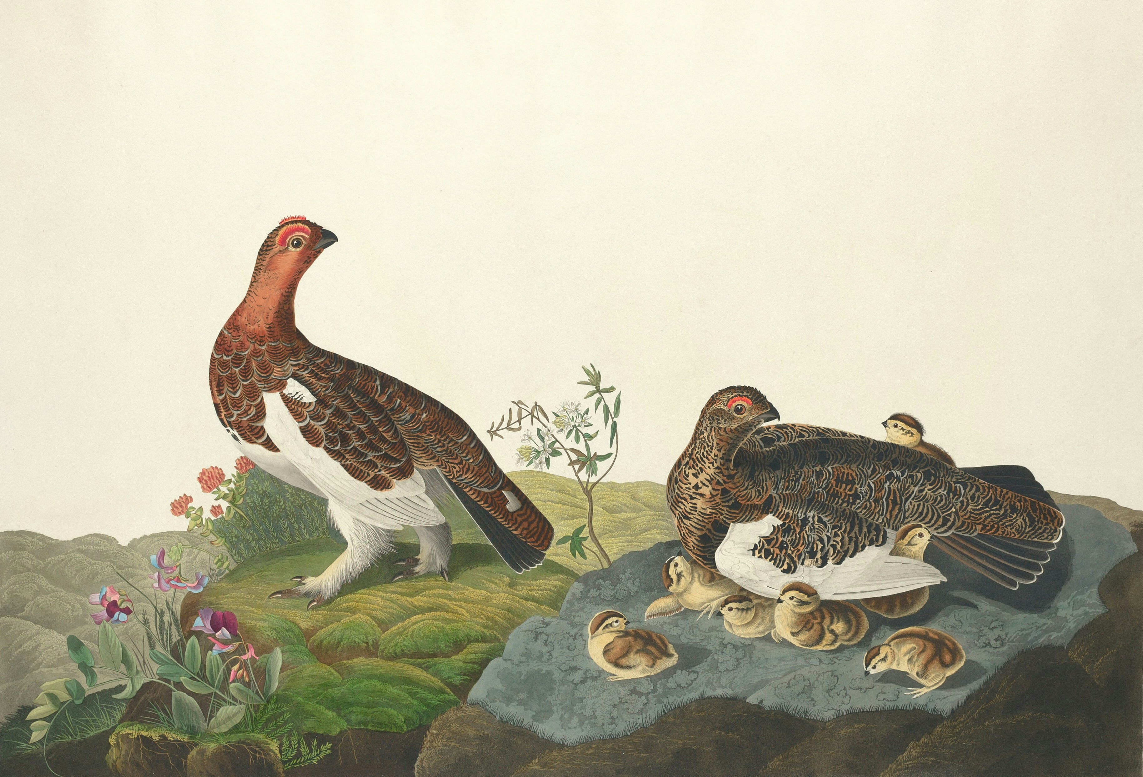 Photo by nationalgallery