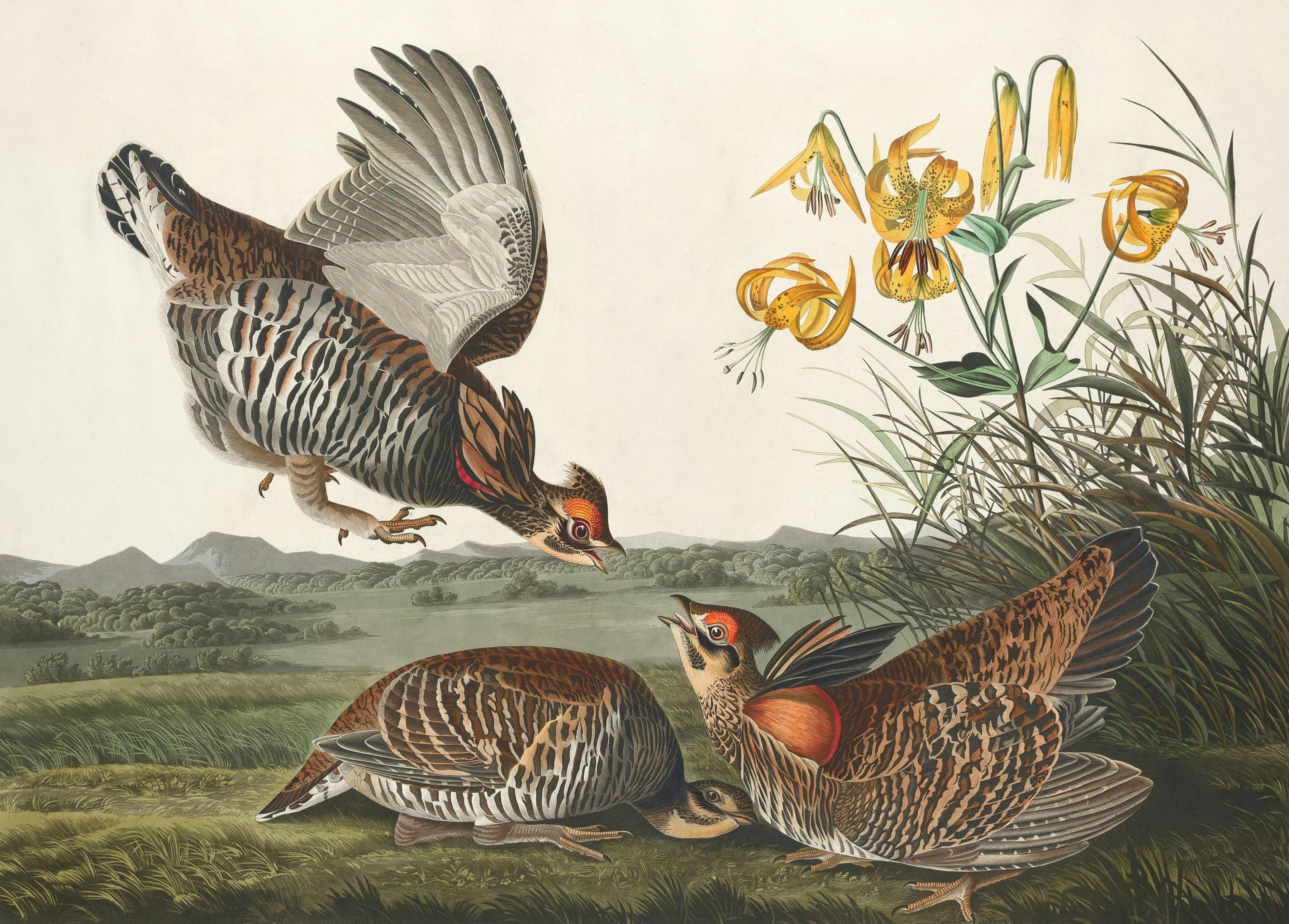 Photo by nationalgallery