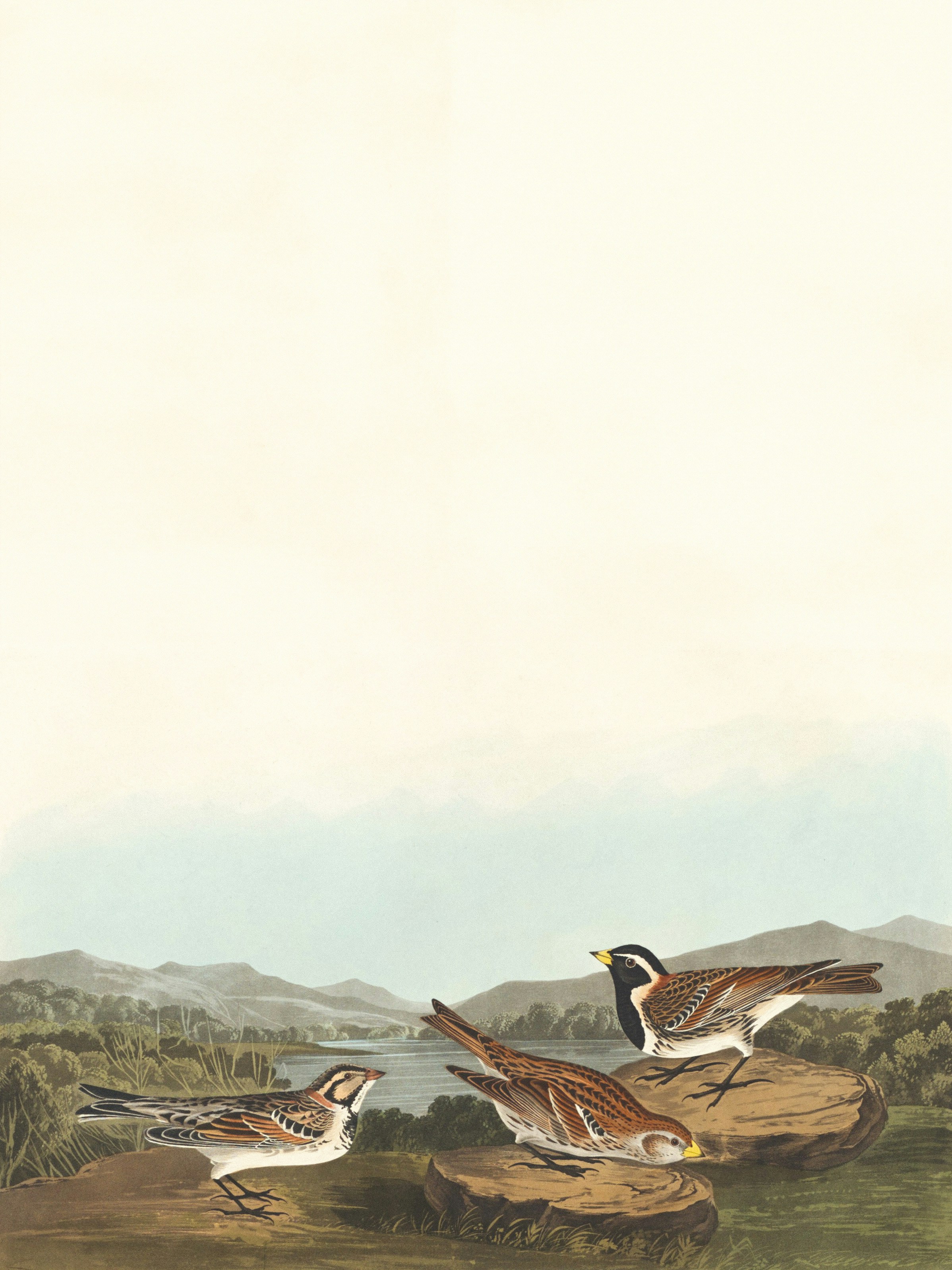 Photo by nationalgallery