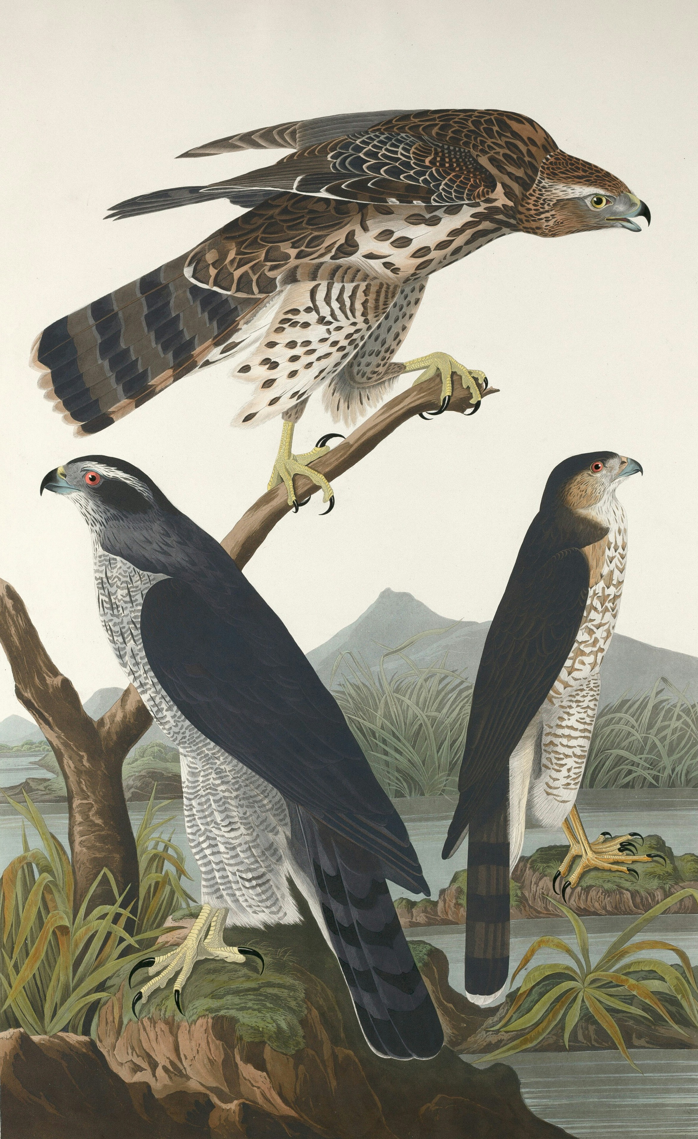 Photo by nationalgallery