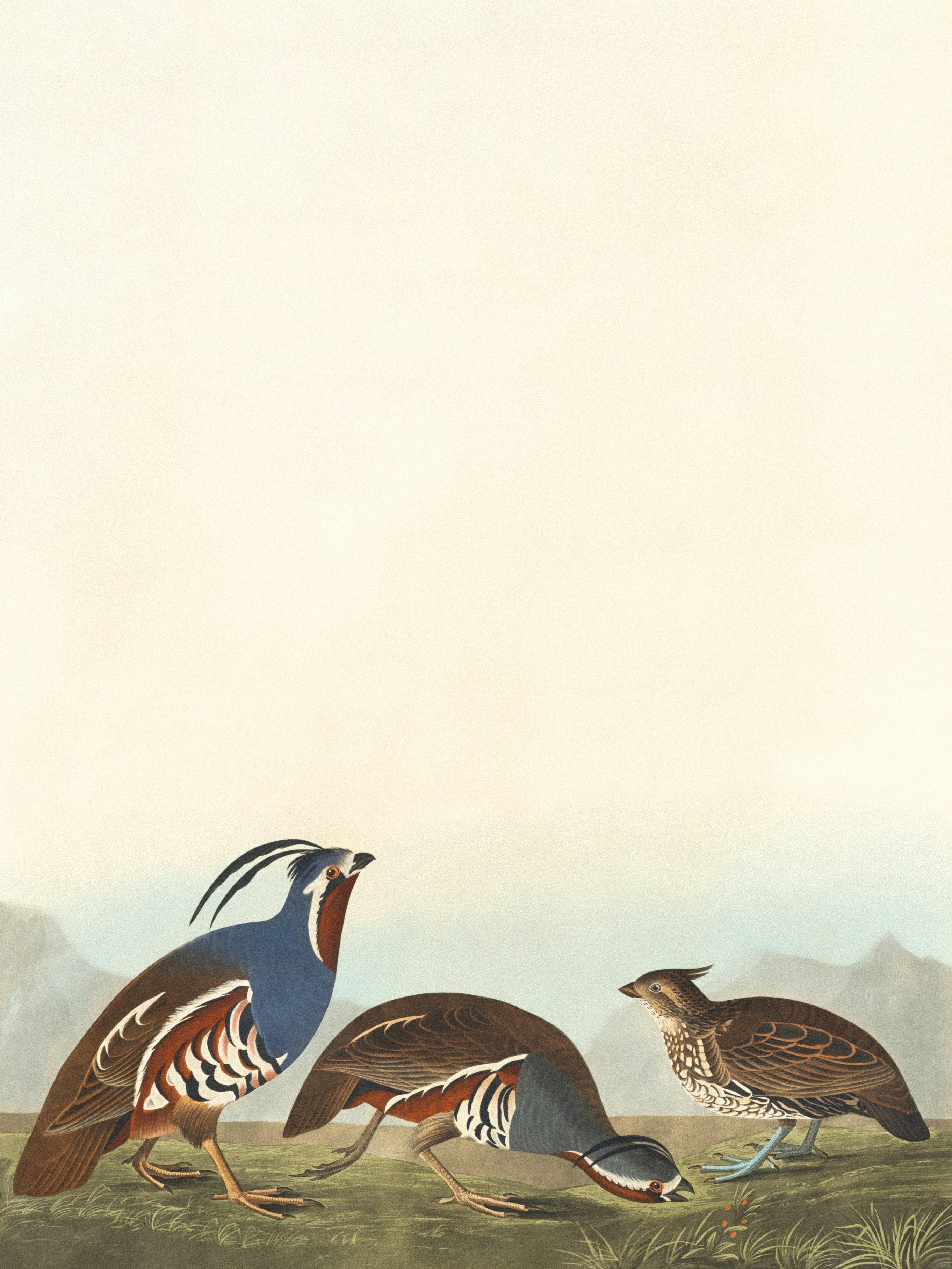 Photo by nationalgallery