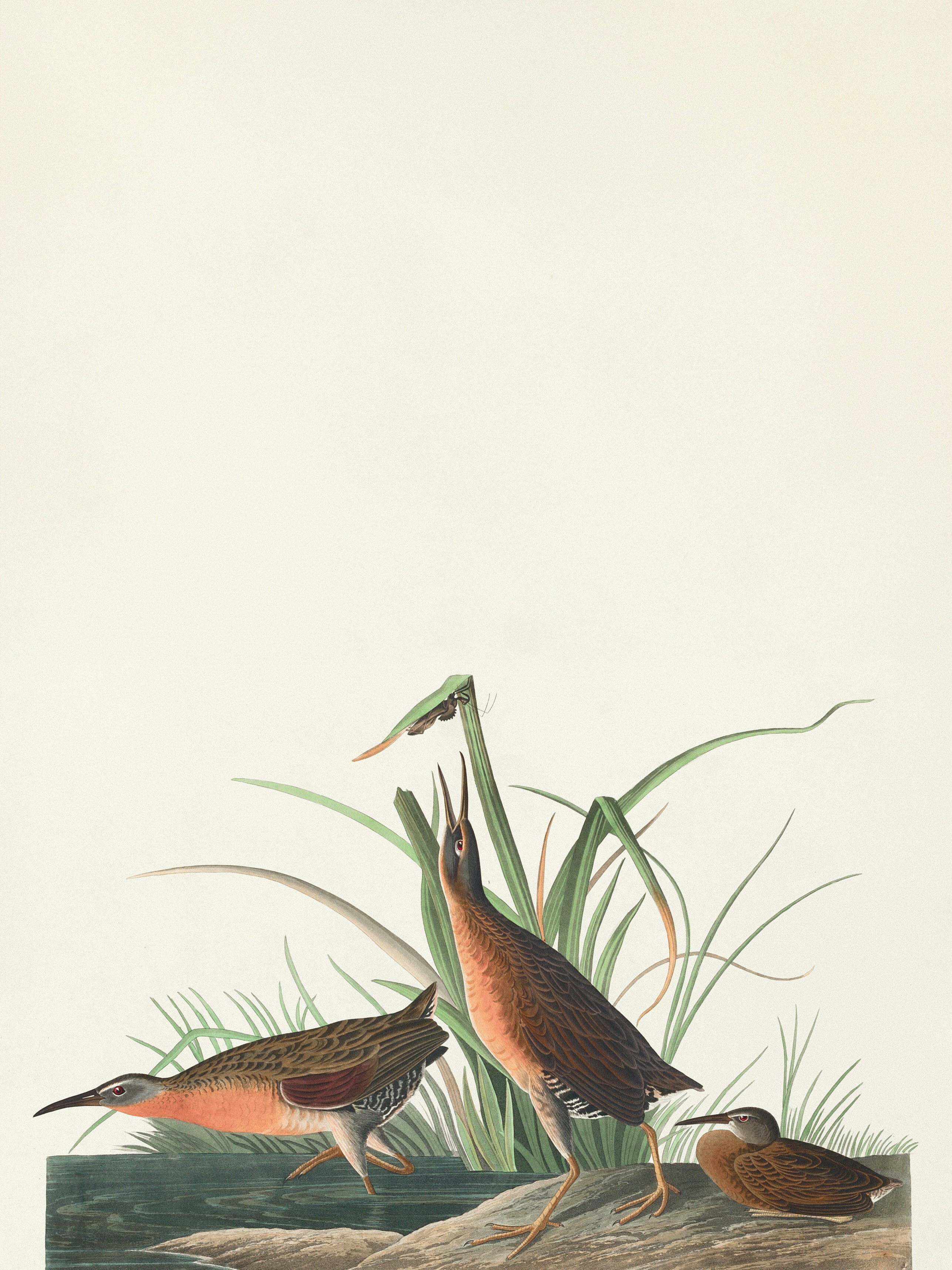 Photo by nationalgallery