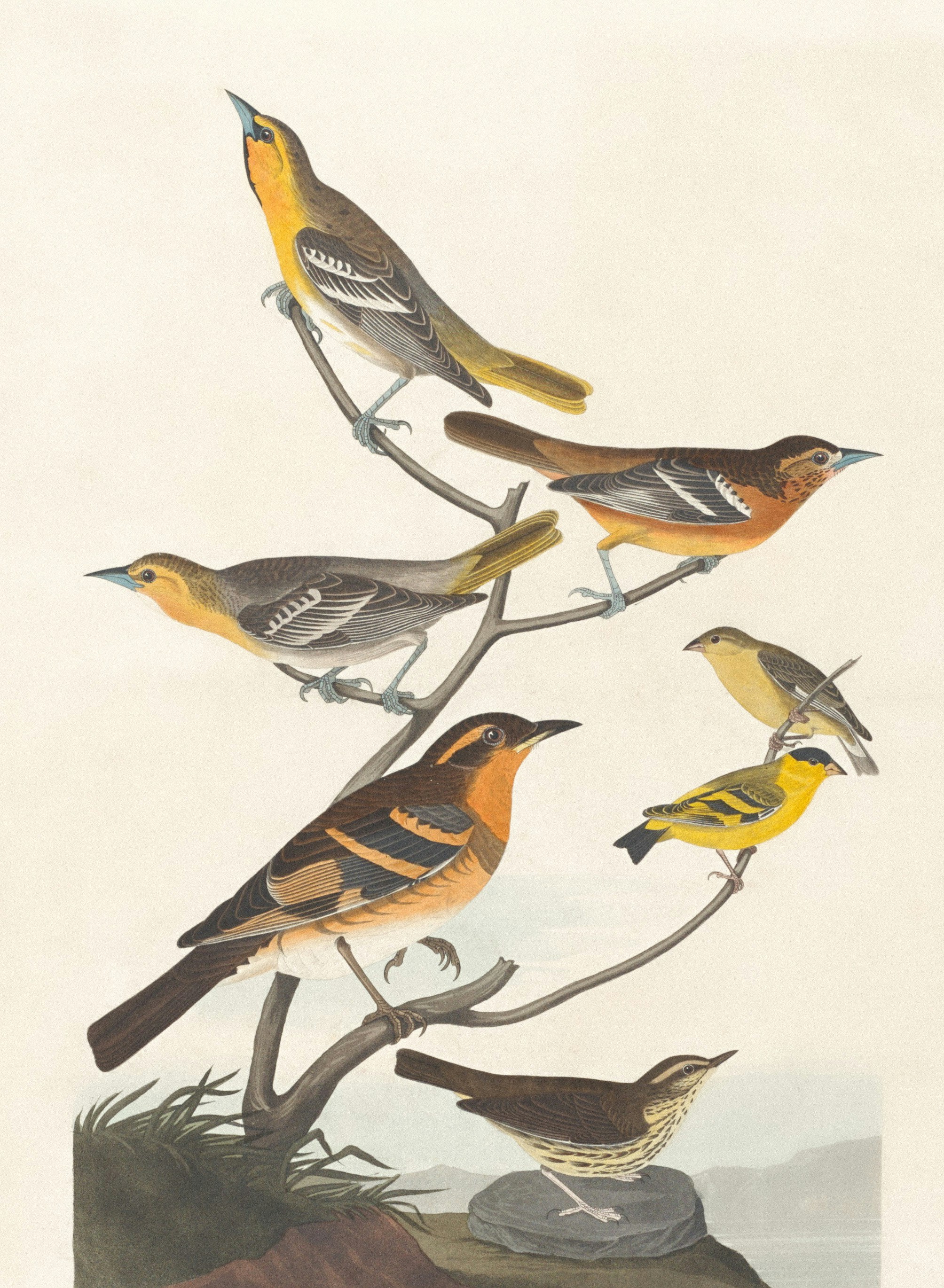 Photo by nationalgallery