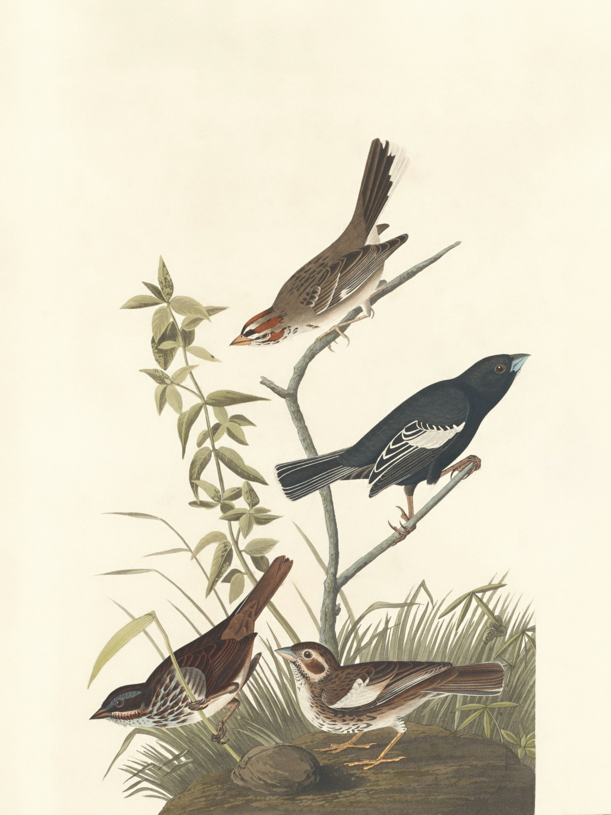 Photo by nationalgallery