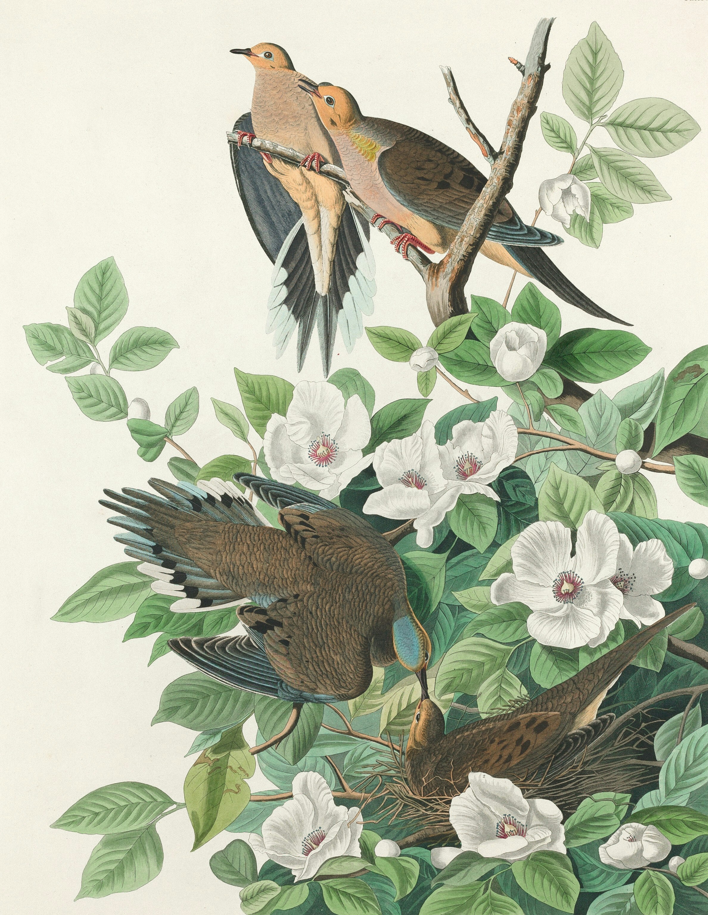 Photo by nationalgallery