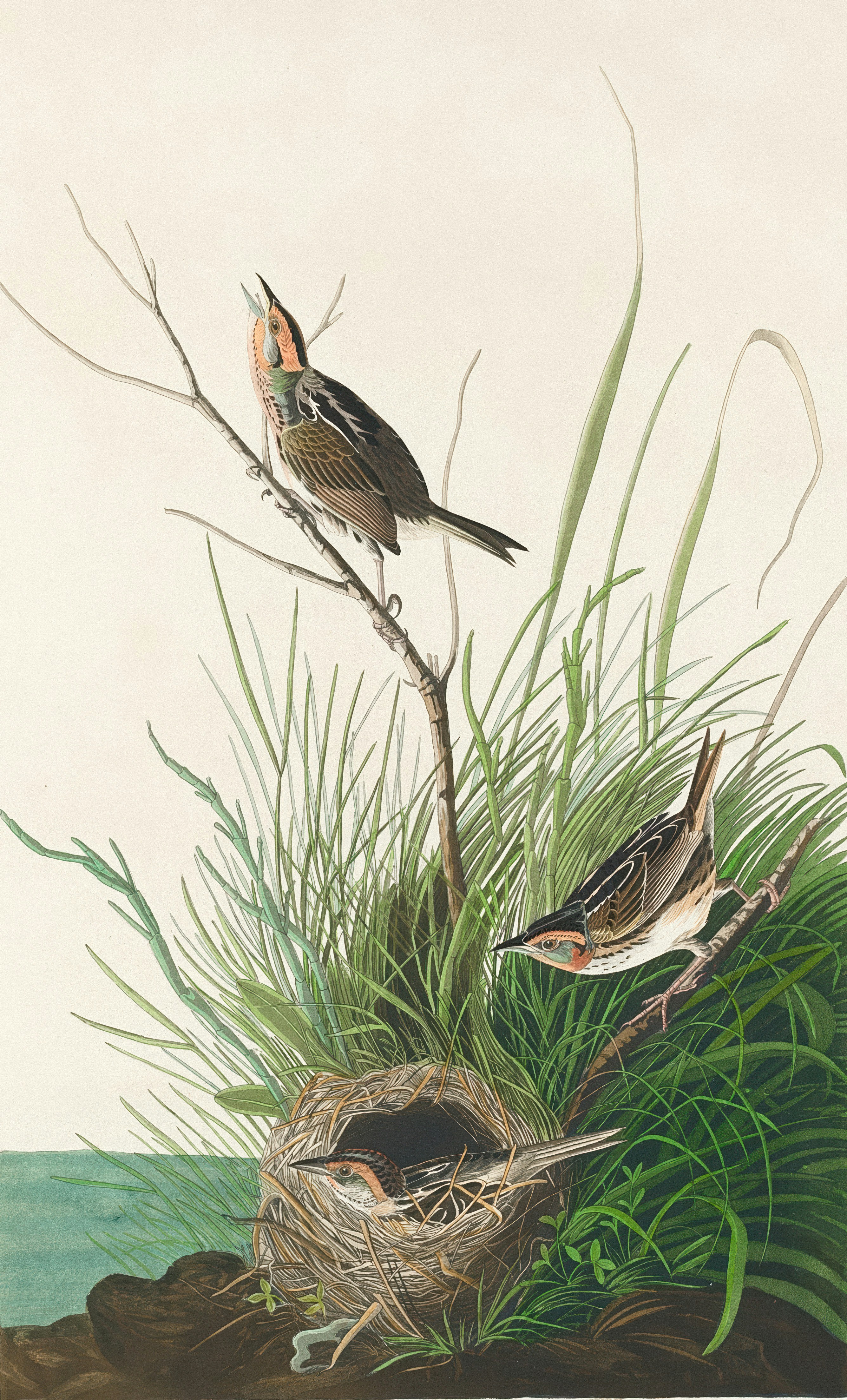 Photo by nationalgallery