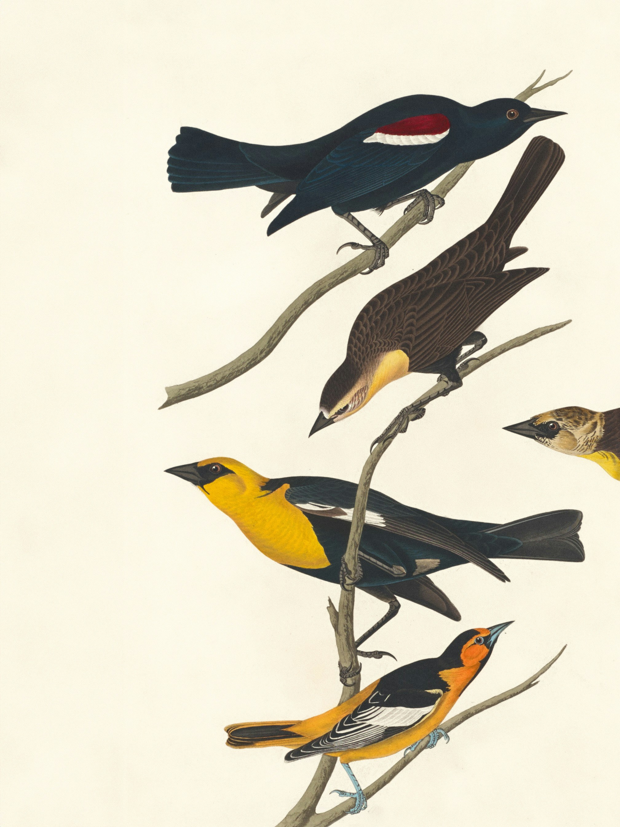 Photo by nationalgallery