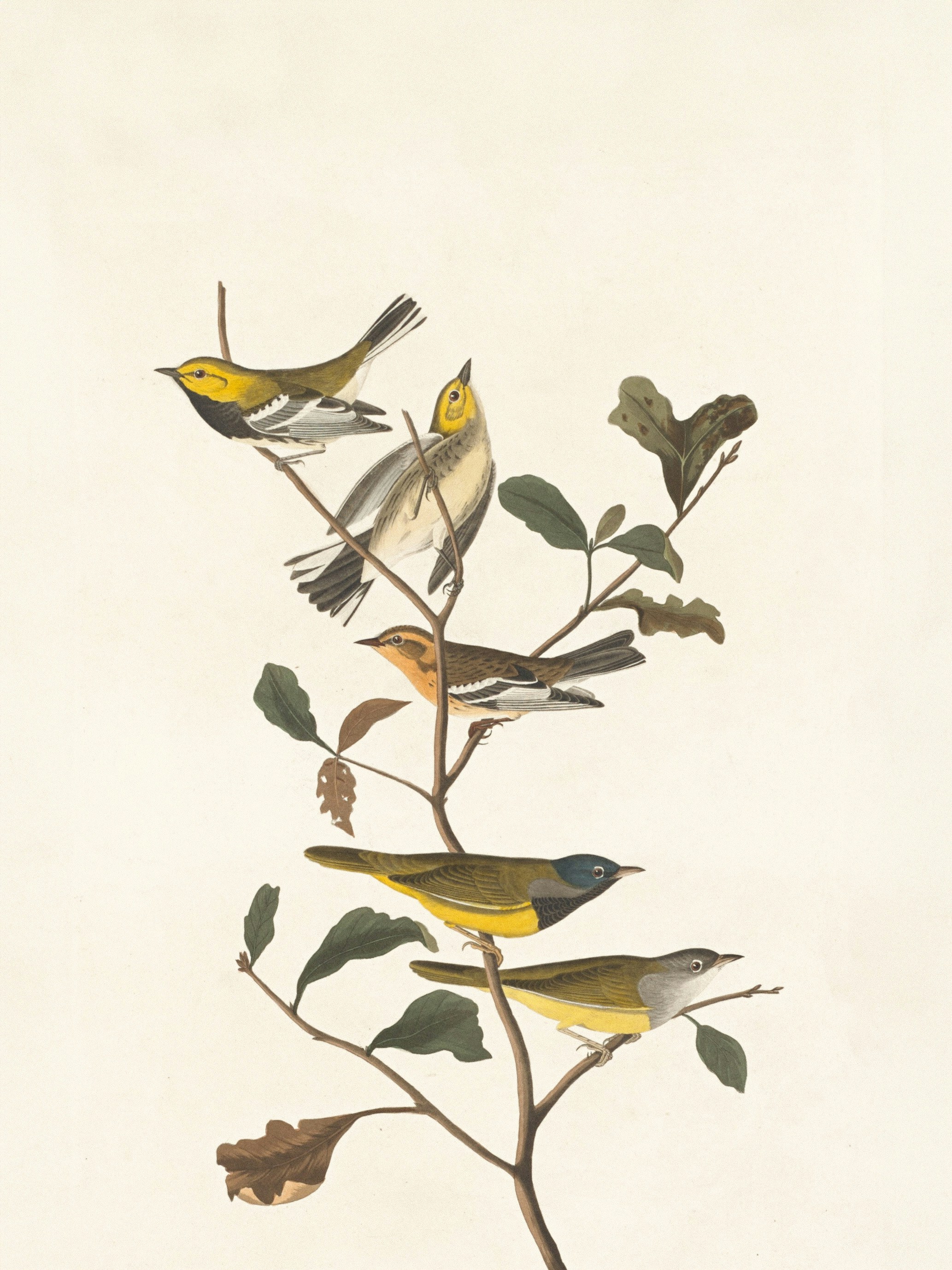 Photo by nationalgallery