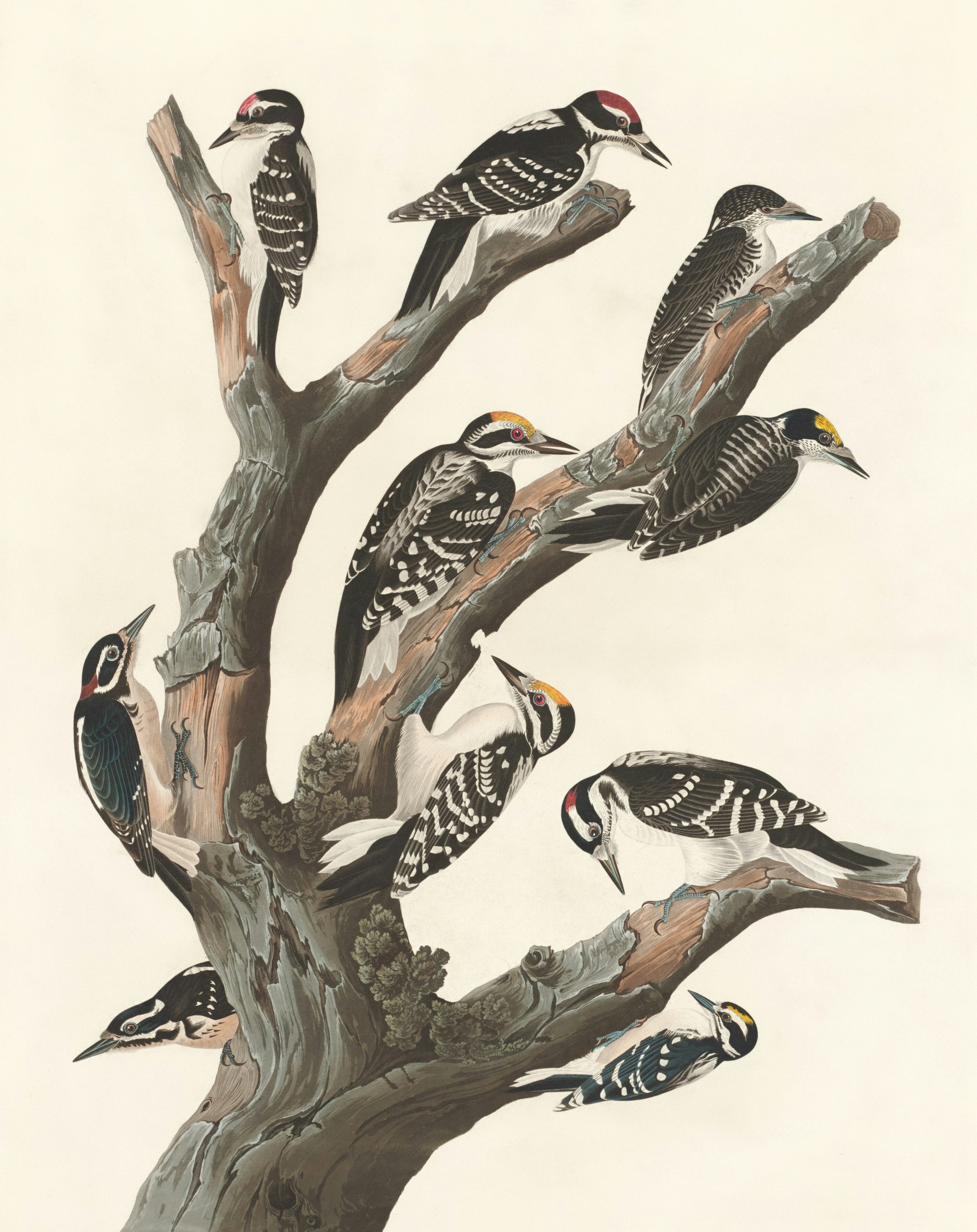 Photo by nationalgallery