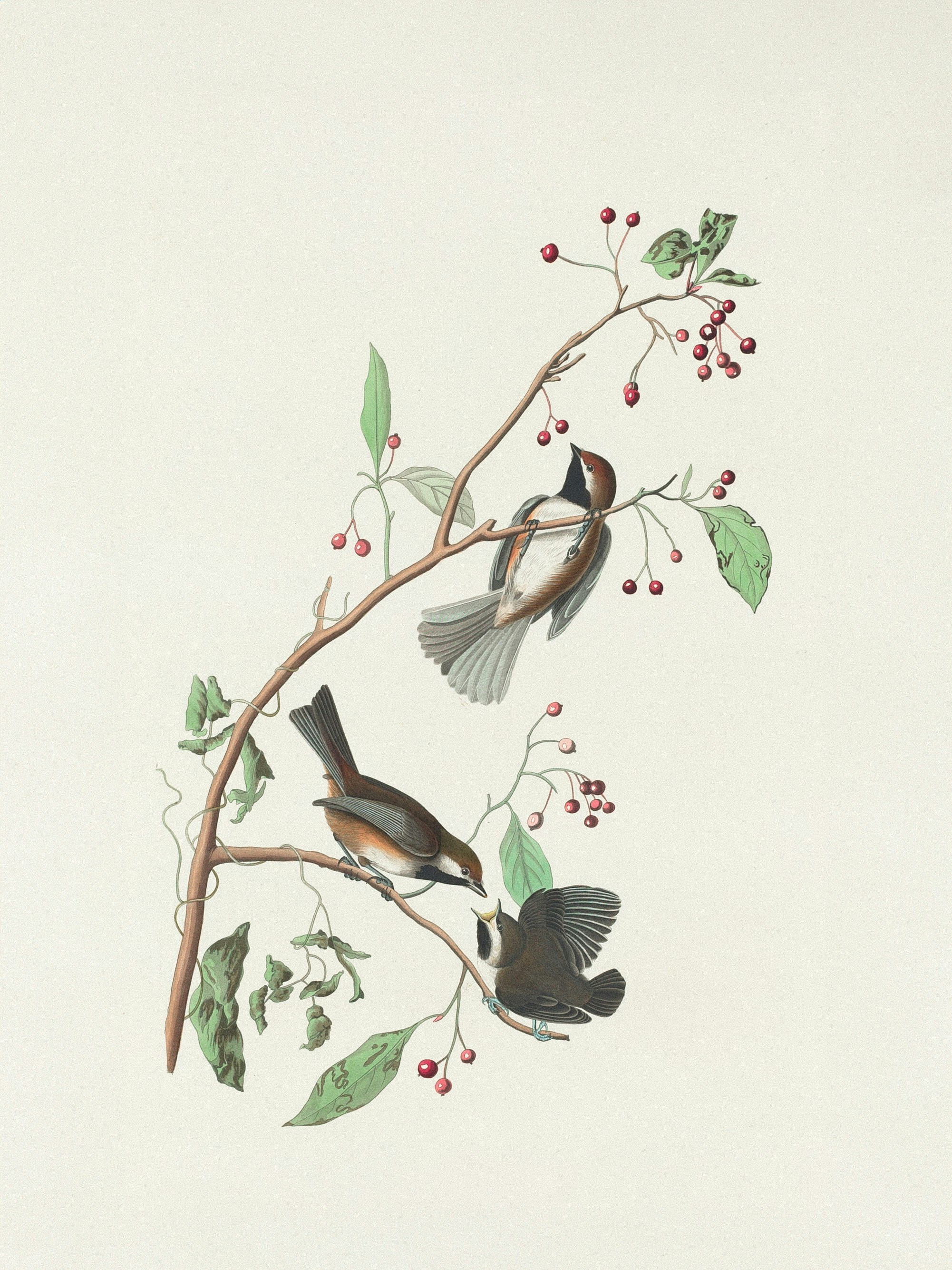 Photo by nationalgallery