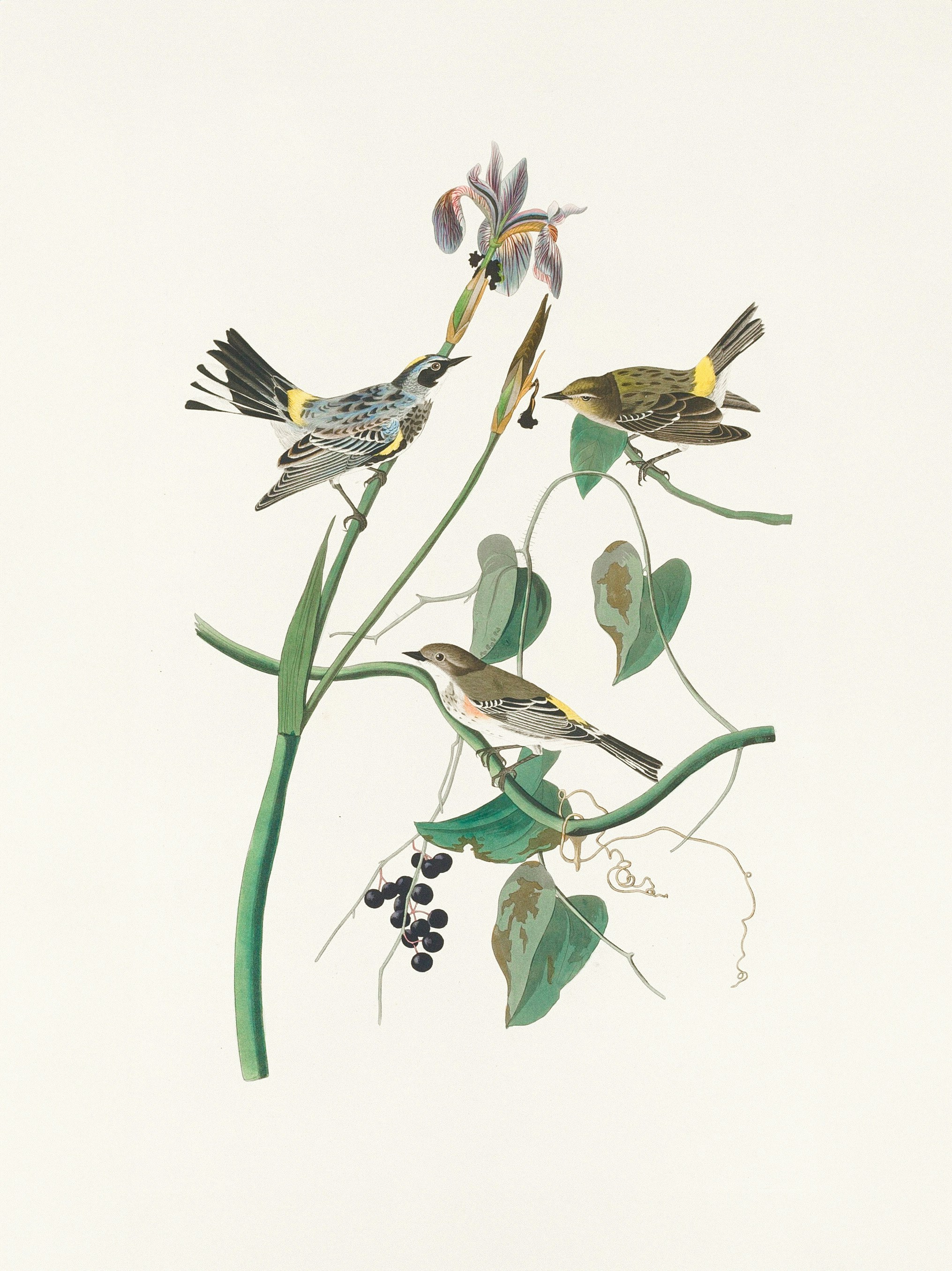 Photo by nationalgallery