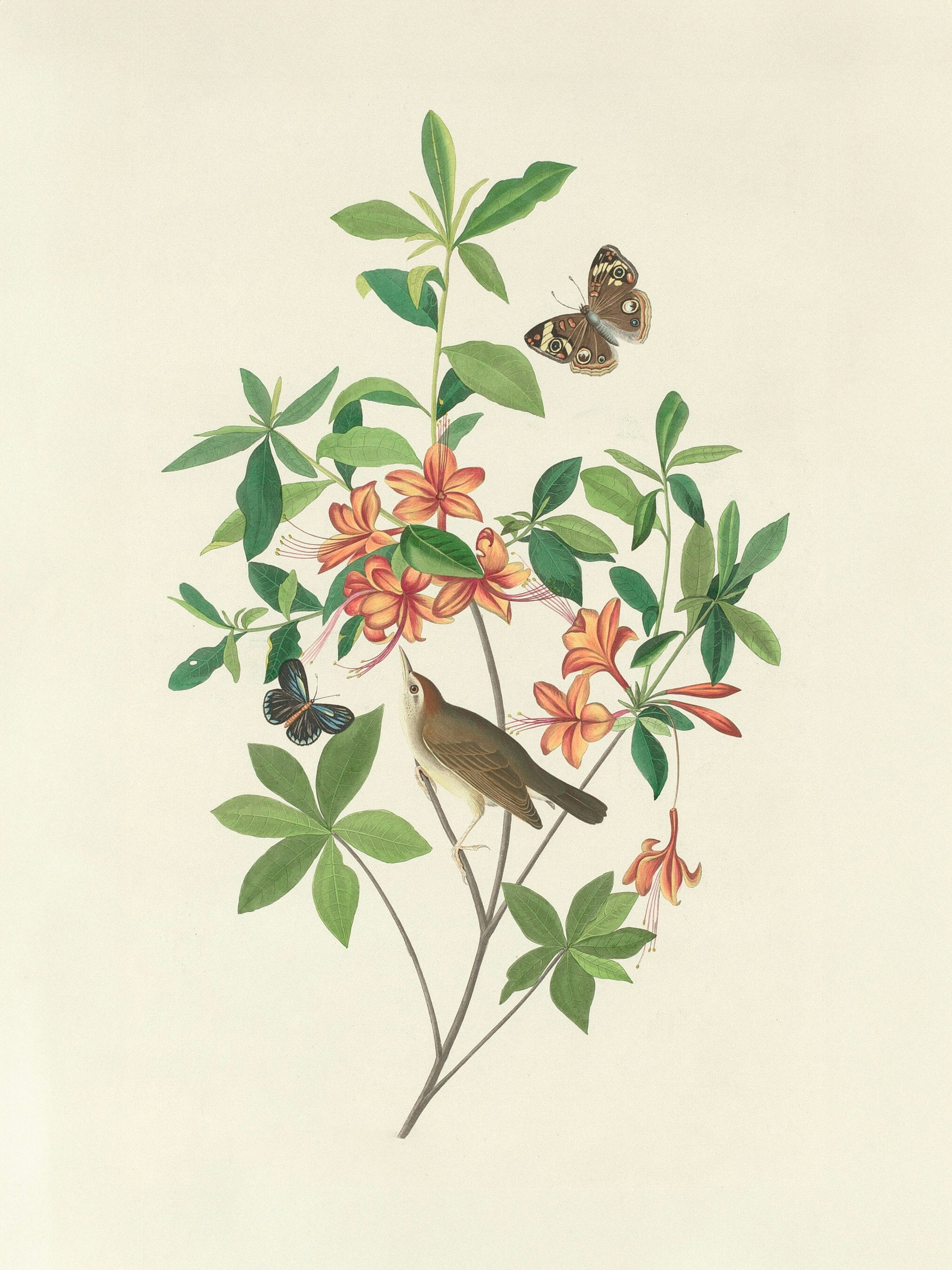 Photo by nationalgallery