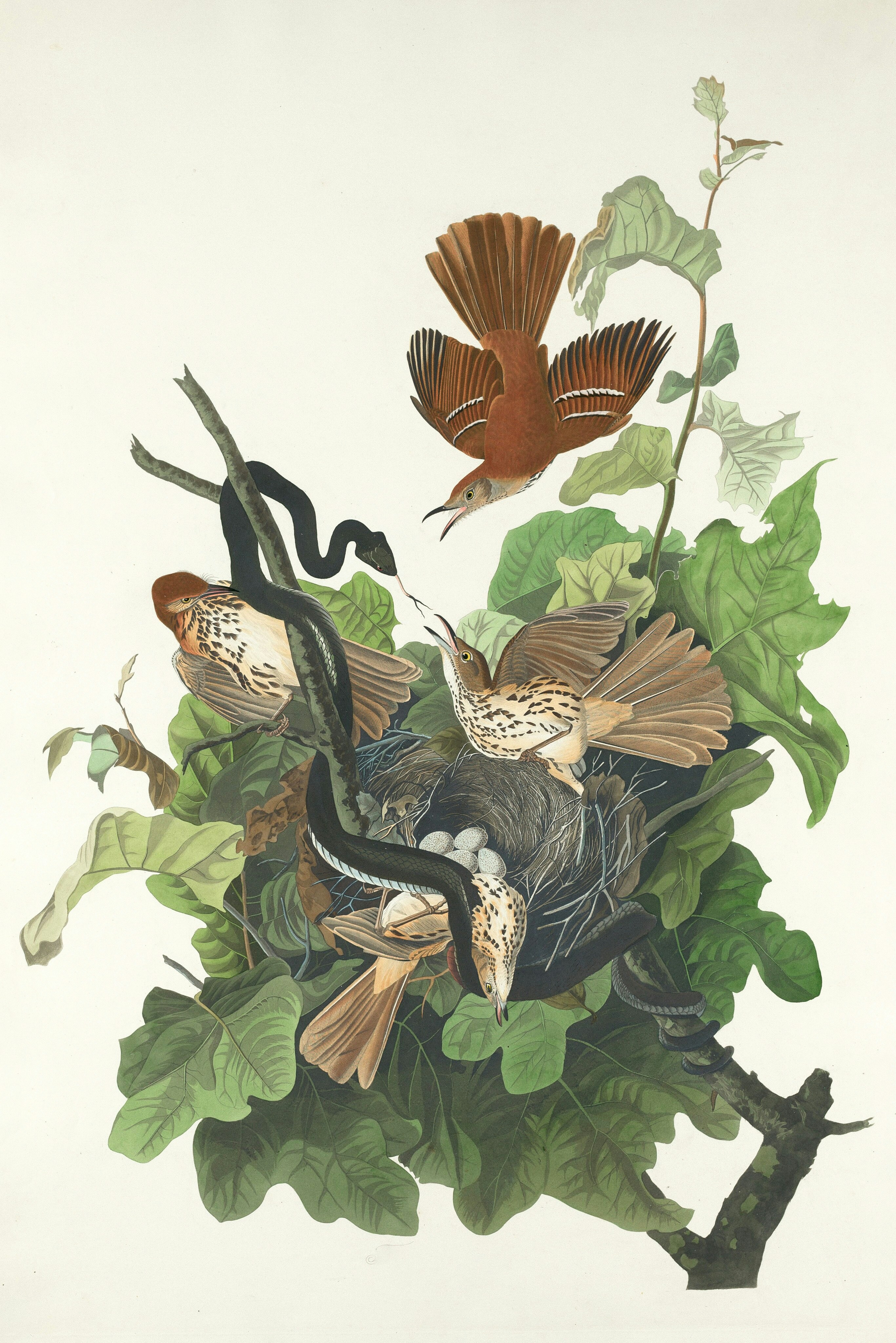 Photo by nationalgallery